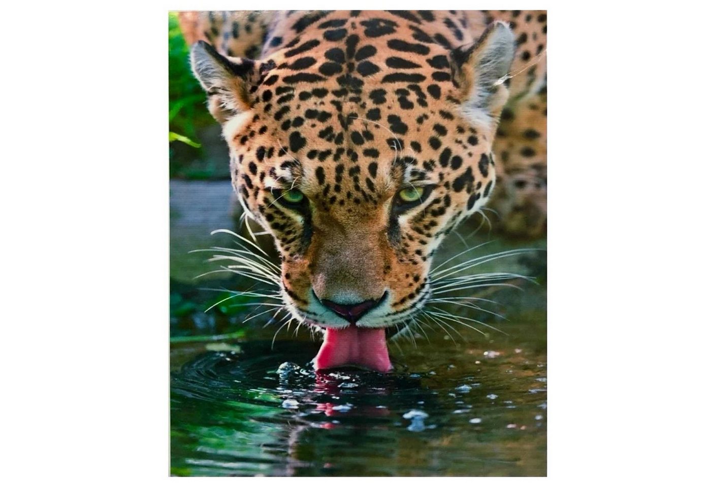 Thumbnail - LaCute Malen nach Zahlen Leopard Malset – Kreatives Malen nach Zahlen mit Rahmen 30x40cm (Komplettes Malset: Kreatives M...