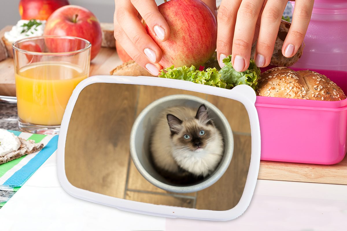 Lunchbox Kinder, Erwachsene, Mädchen, Plastikeimer, Brotbox Eine Snackbox, für in Ragdoll-Katze einem (2-tlg), MuchoWow Kunststoff rosa Brotdose Kunststoff,