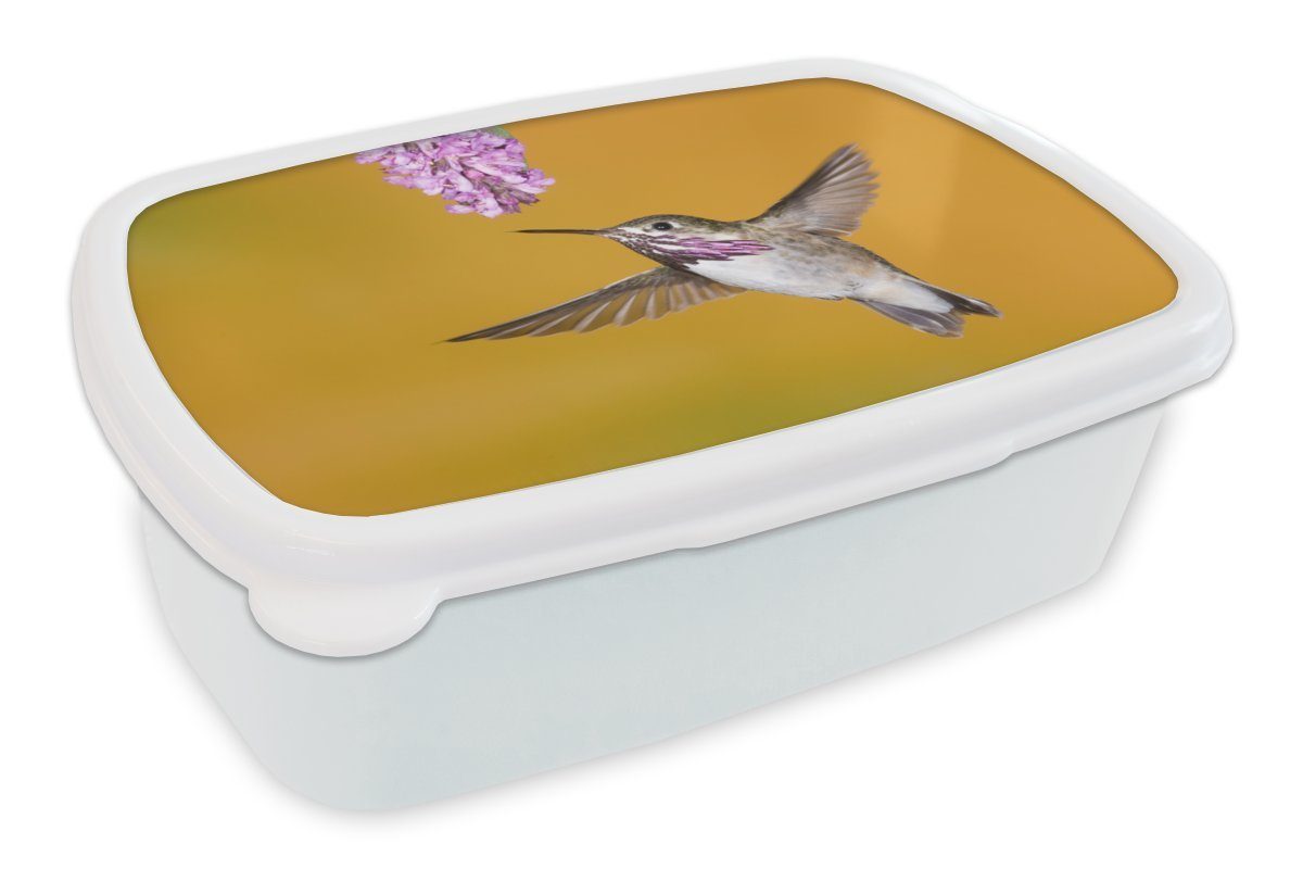MuchoWow Lunchbox Kolibri - Blume - Gelb, Kunststoff, (2-tlg), Brotbox für Kinder und Erwachsene, Brotdose, für Jungs und Mädchen weiß