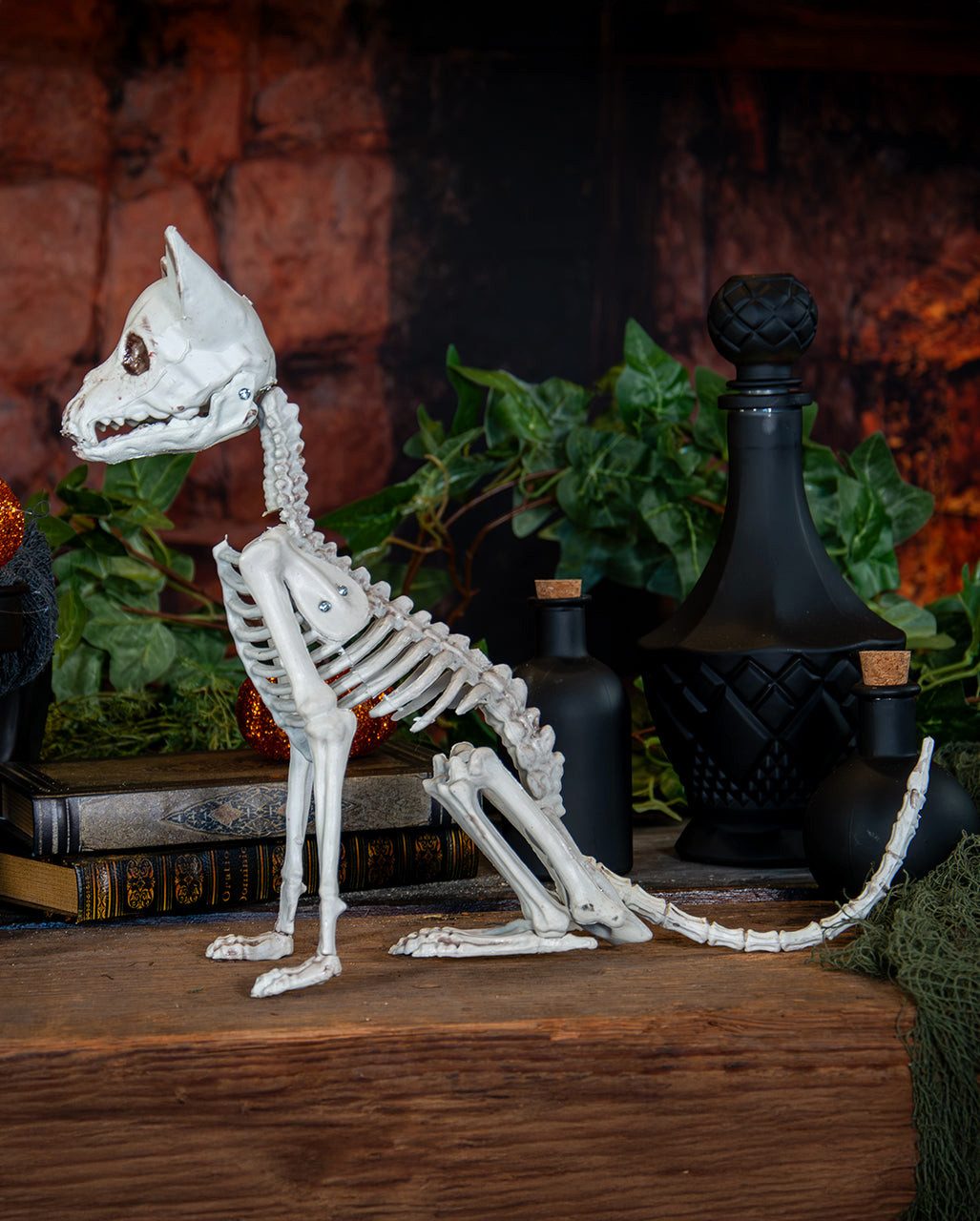 Horror-Shop Dekoobjekt Katzenskelett als Halloween Deko 48cm – Bild 3 von 5