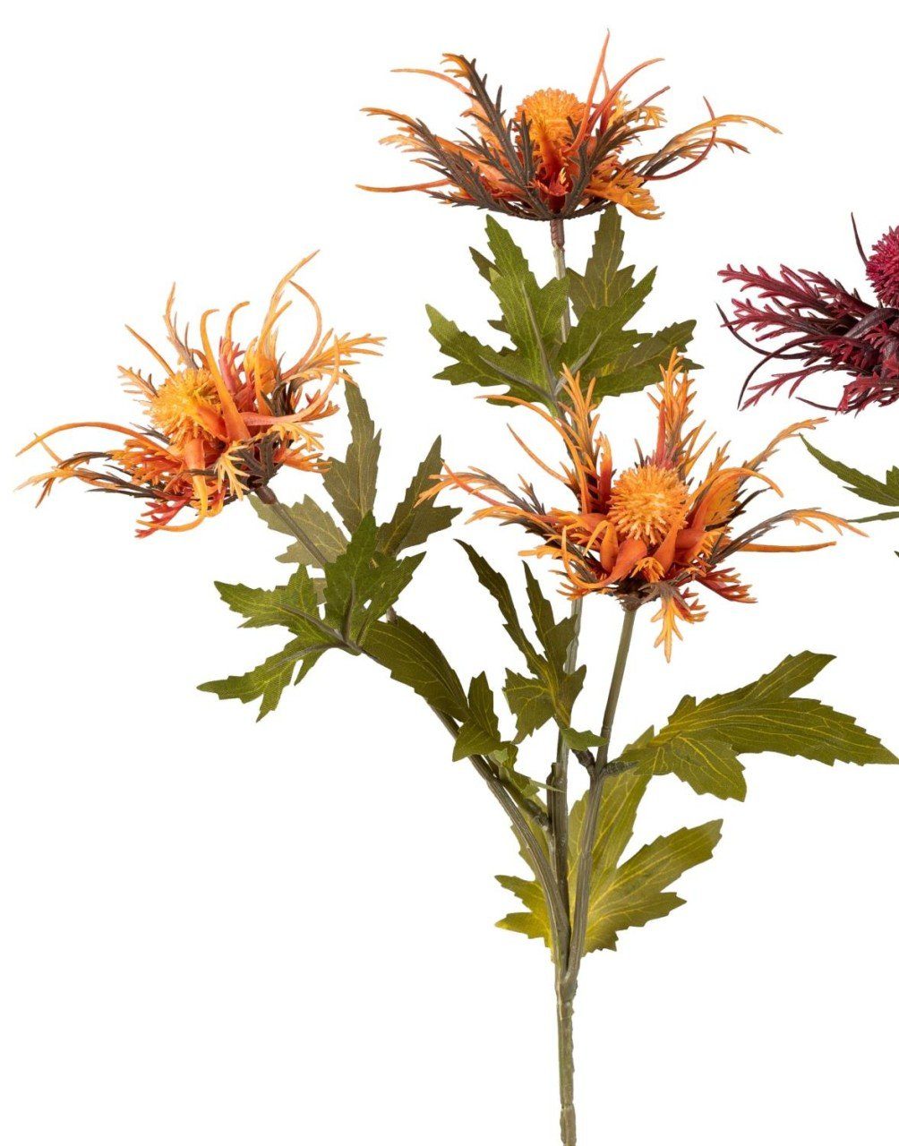 Kunstblume, formano, Höhe 66 cm, Orange B:20cm H:66cm Kunststoff