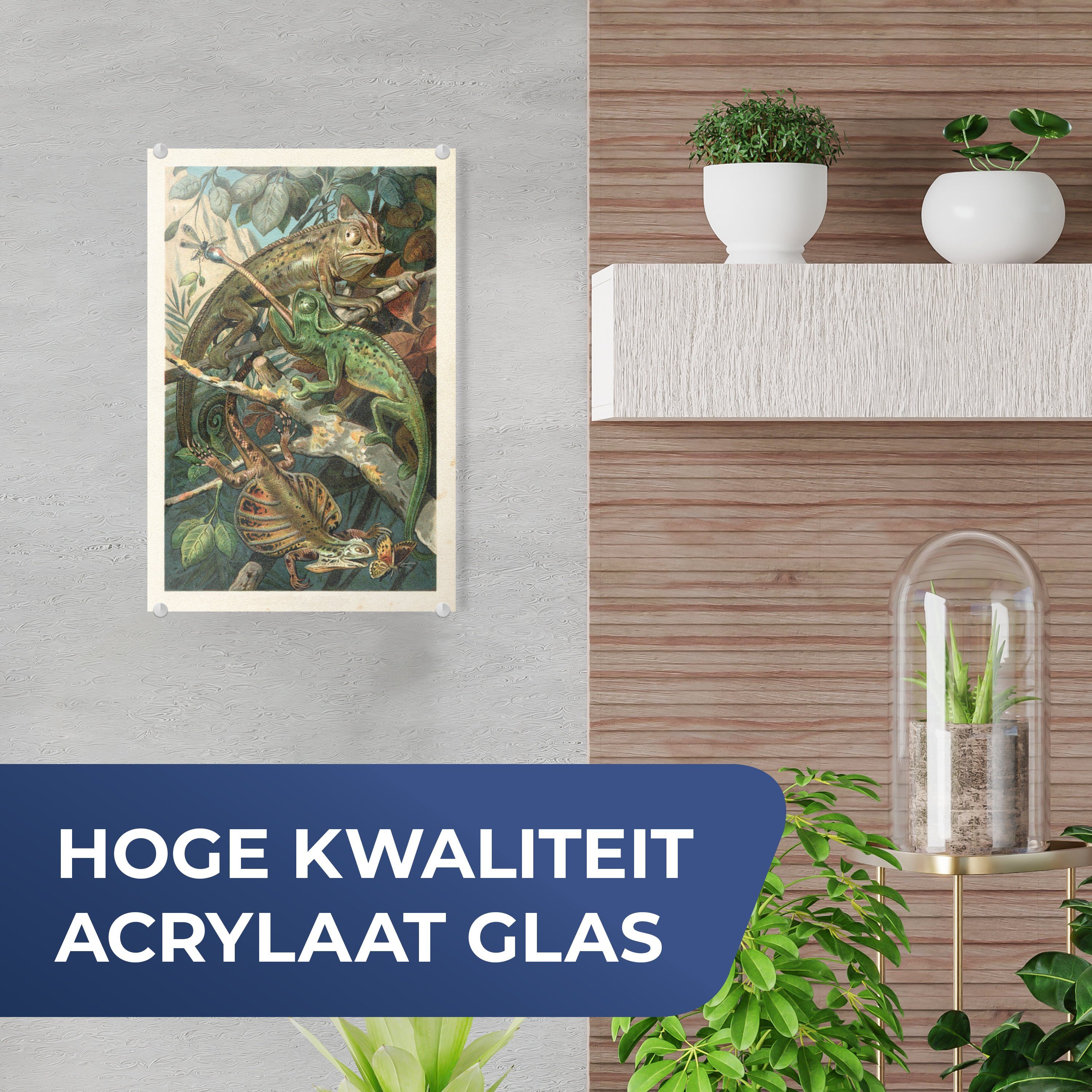 - Acrylglasbild Bilder MuchoWow Glas Glasbilder (1 - Vintage - Reptilien Wandbild Wanddekoration Pflanzen, auf - auf - Glas Foto St),