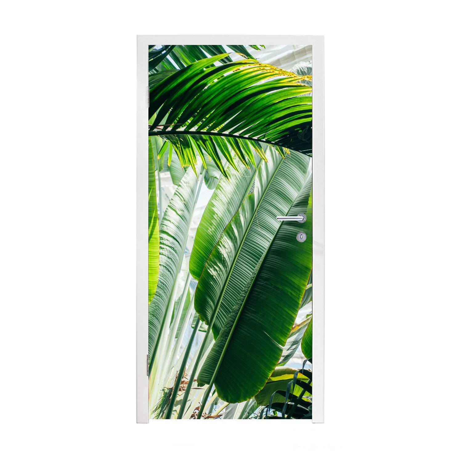 Tür, Sonnenstrahlen 75x205 einem bedruckt, leuchten cm Türtapete Palmenblättern in St), für botanischen auf Fototapete Türaufkleber, Matt, Garten, MuchoWow (1