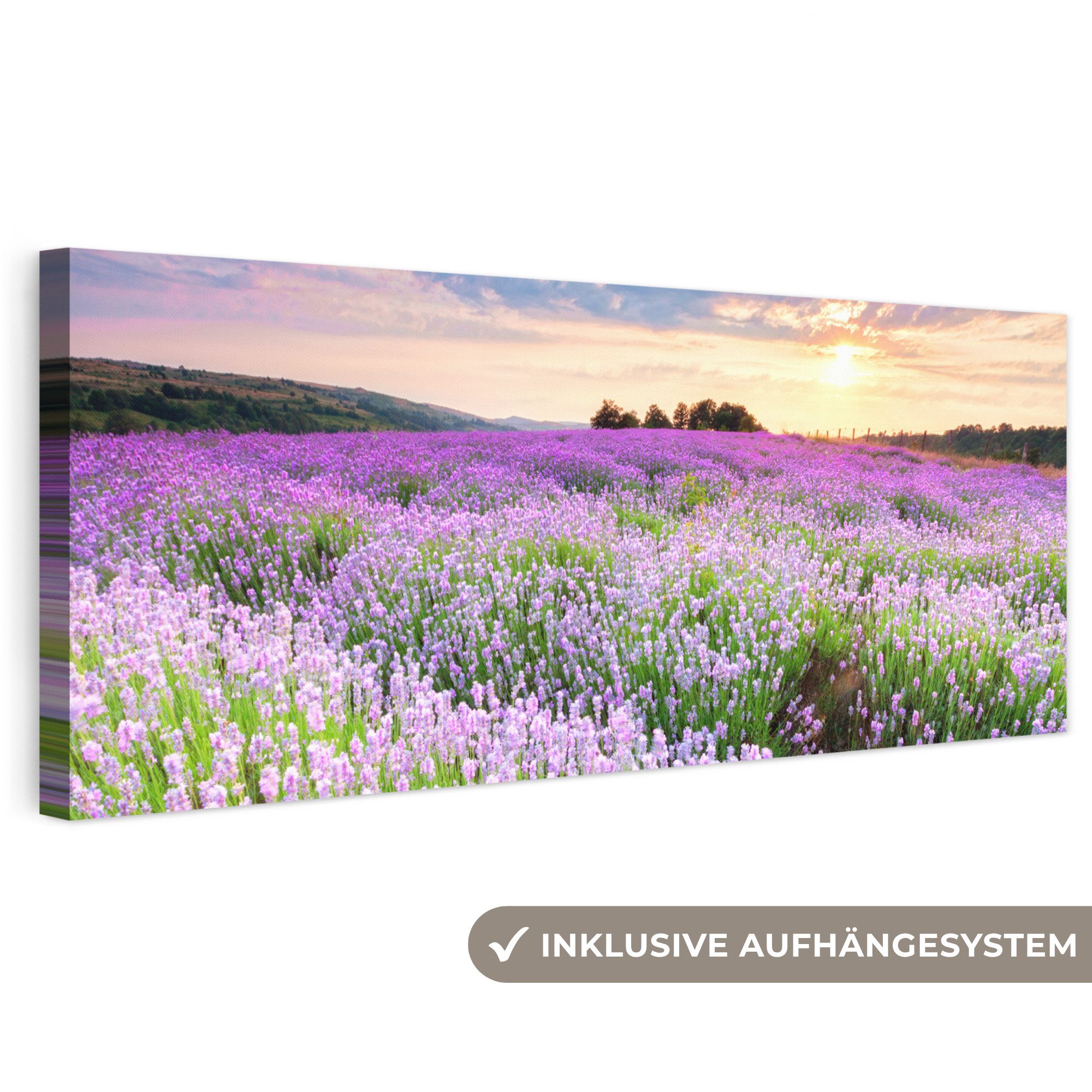 OneMillionCanvasses® Leinwandbild Panorama Blumen - Lavendel - Lila - Himmel - Sonnenuntergang - Wiese -, Fotodruck (1 St), Wandbild XXL für Wohnzimmer Küche 120x40 cm