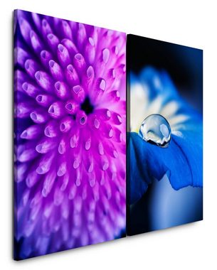 Sinus Art Leinwandbild 2 Bilder je 60x90cm Koralle Wassertropfen blaue Blüte Violett Sanft Beruhigend Fotokunst