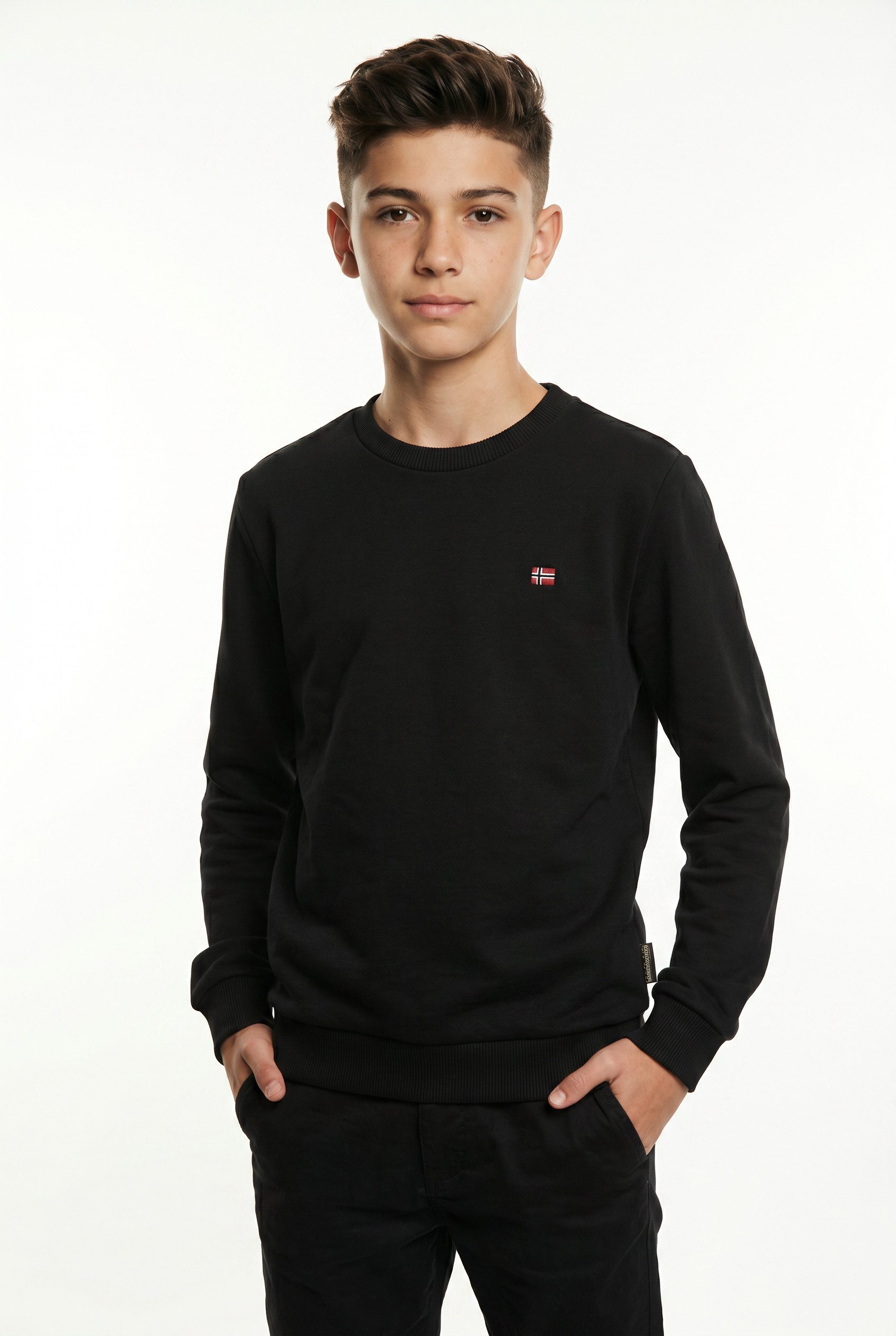 Napapijri Sweatshirt klassische Sweatshirt-Ausführung, aus Baumwolle und Polyester