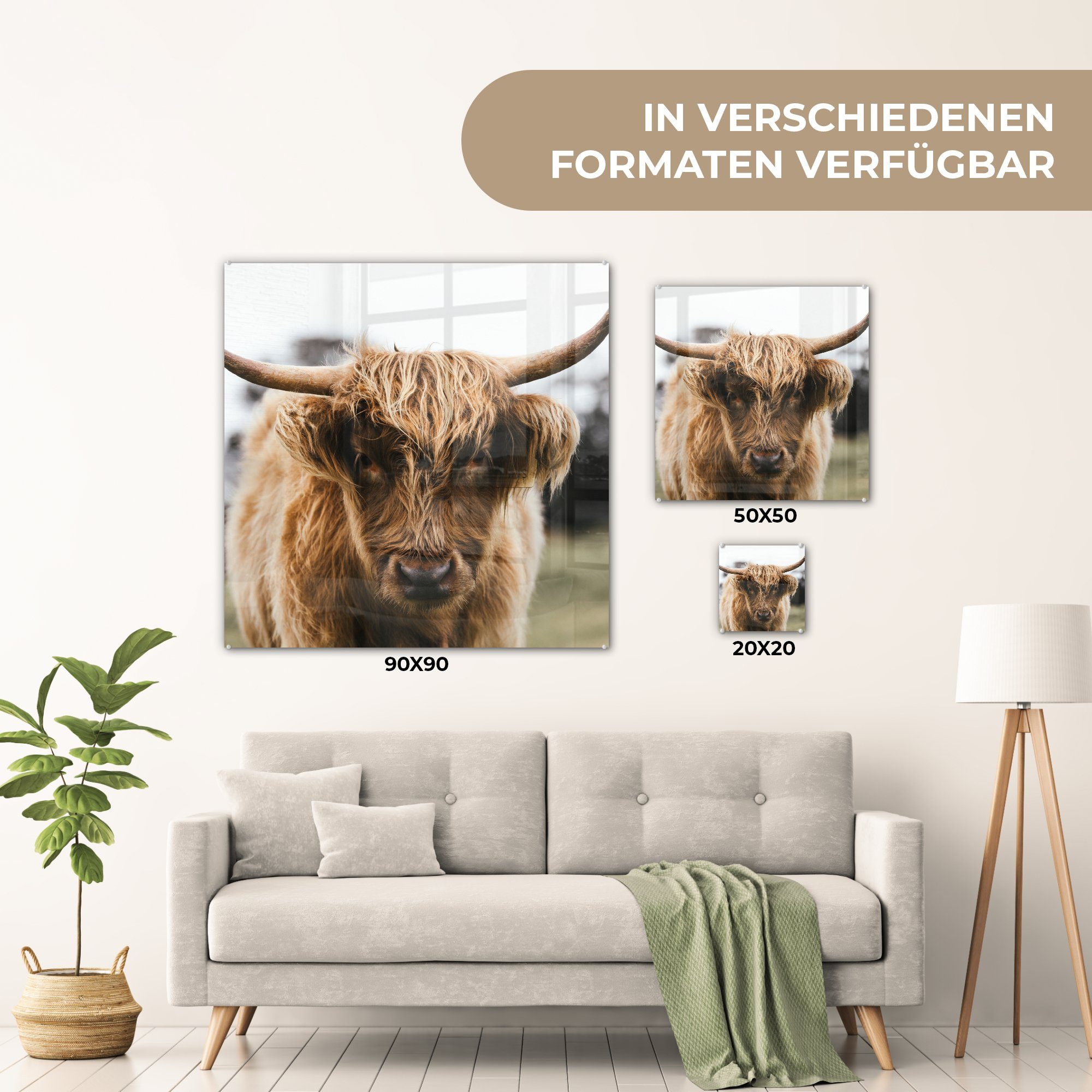 St), Acrylglasbild Gras & Glas Wohnzimmer MuchoWow Küche - Schottischer Highlander - (1 Tiere für Natur, Kuh auf Dekorative - - Bild