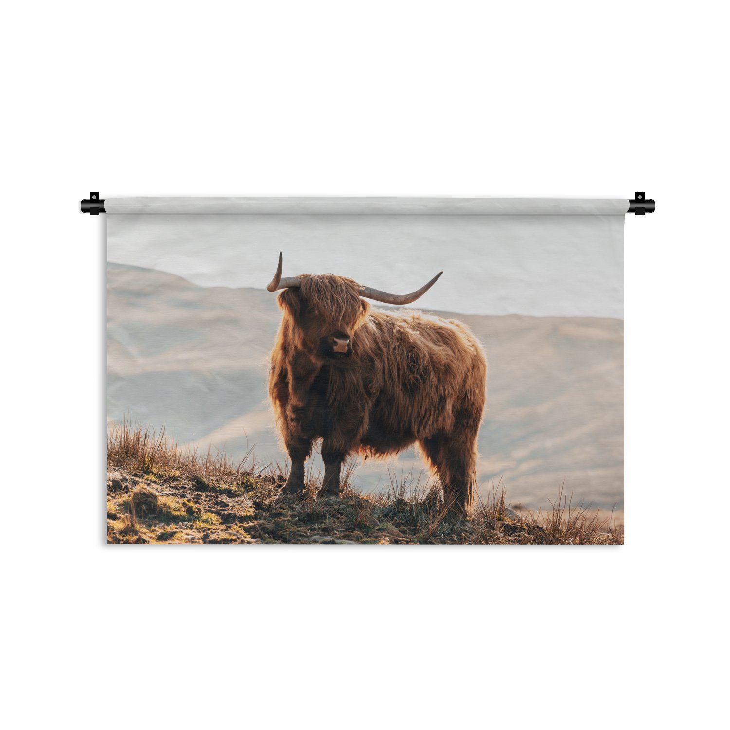MuchoWow Wanddekoobjekt Schottische Highlander - Tiere - Ländlich - Landschaft - Kuh - Natur, Wanddeko für Wohnzimmer, Schlafzimmer, Kleid, Wandbehang, Kinderzimmer