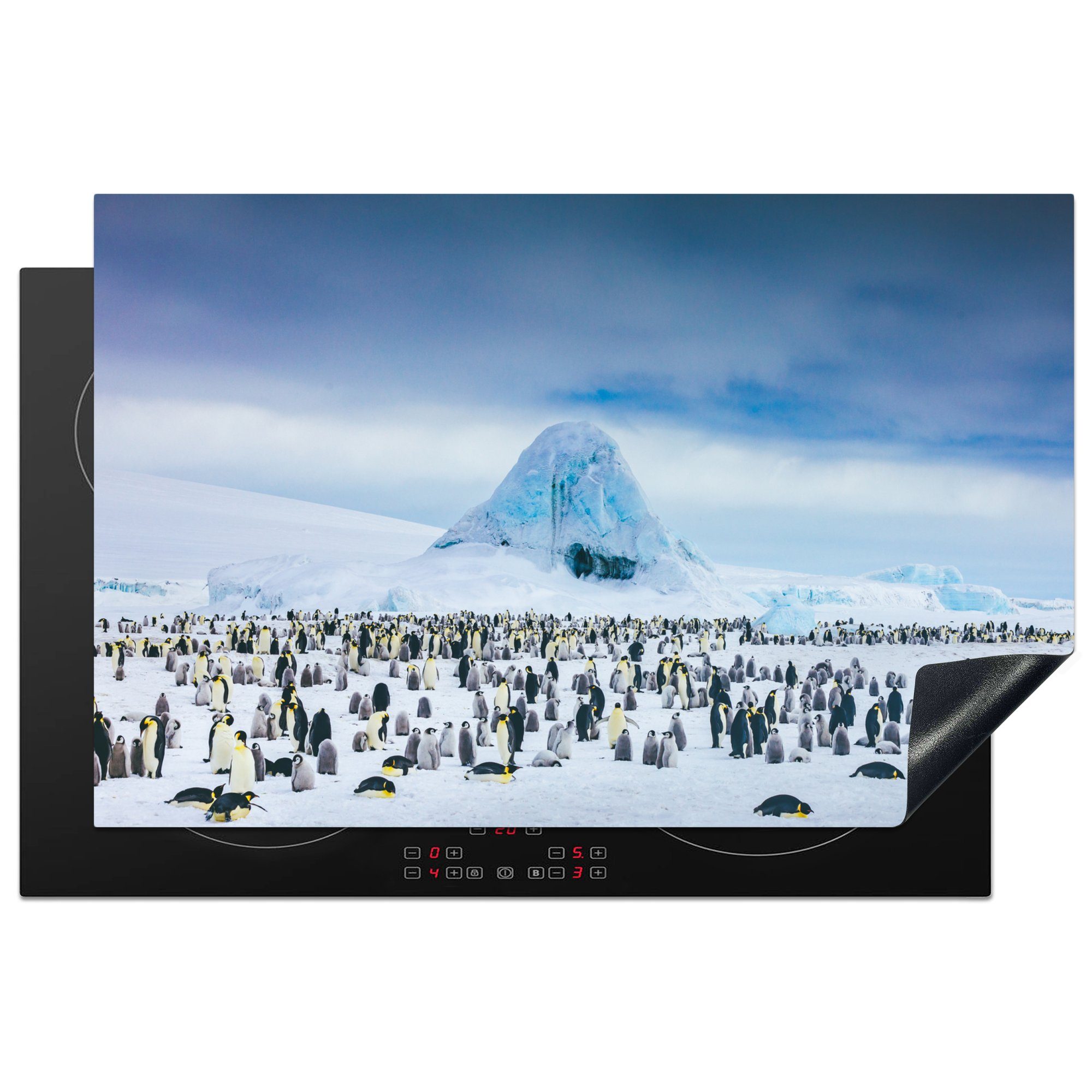 MuchoWow Herdblende-/Abdeckplatte Pinguine in der Antarktis, Vinyl, (1 tlg), 81x52 cm, Induktionskochfeld Schutz für die küche, Ceranfeldabdeckung