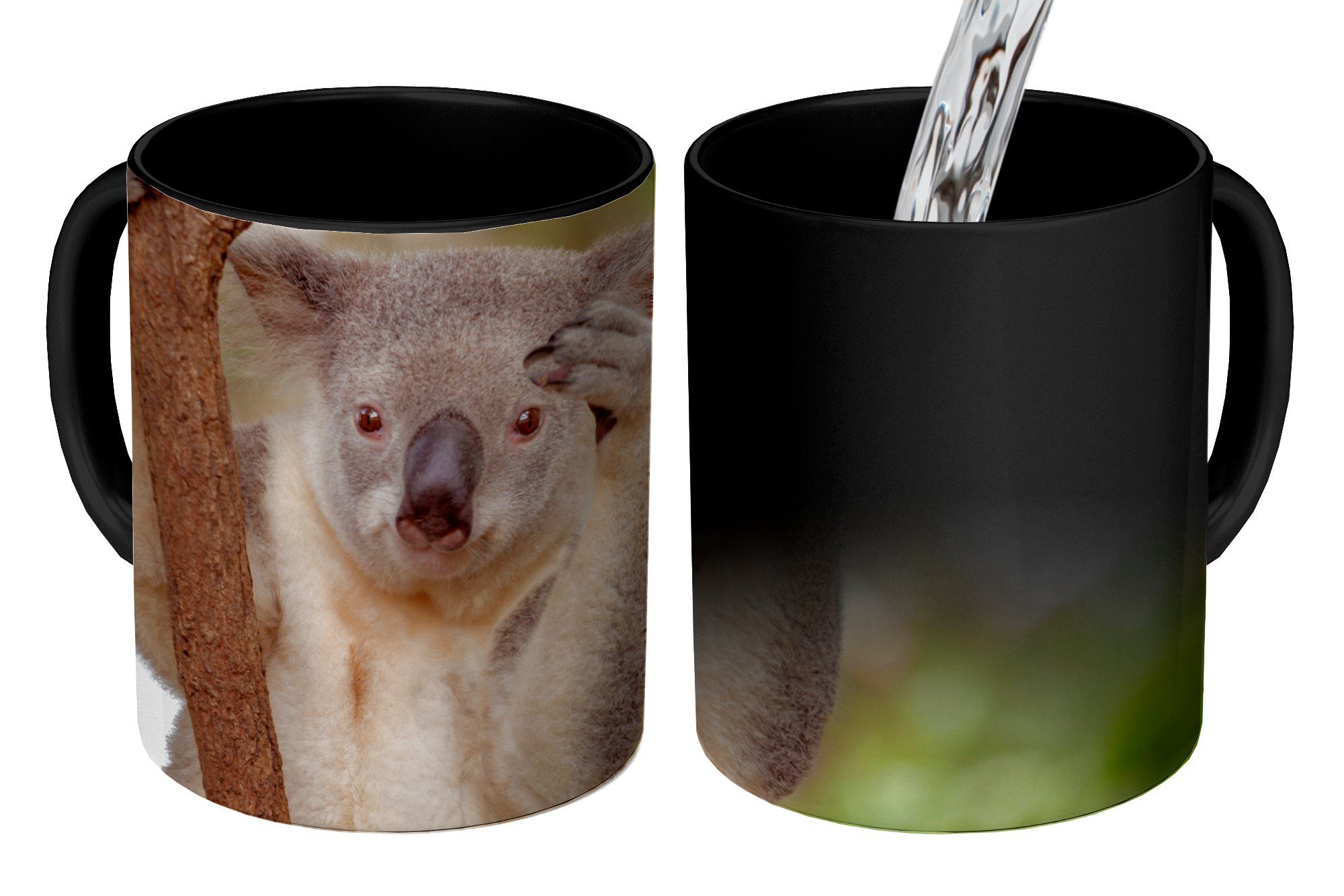 MuchoWow Tasse Koala - Äste - Tier - Kinder - Jungen - Mädchen, Keramik, Farbwechsel, Kaffeetassen, Teetasse, Zaubertasse, Geschenk
