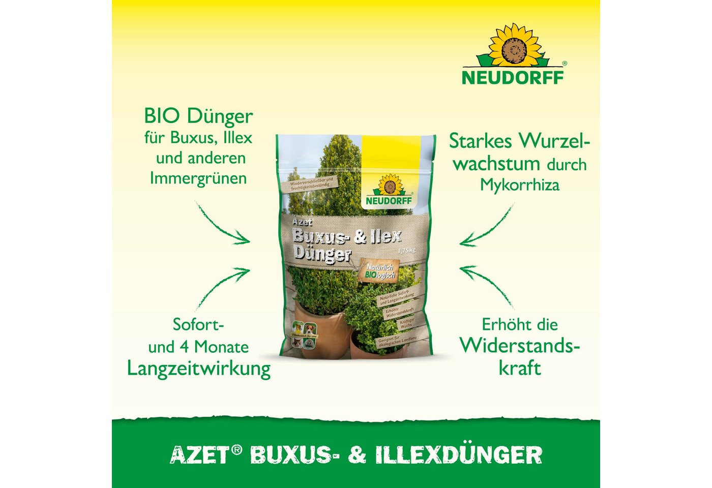 Thumbnail - Neudorff Rasendünger Bio - Azet Buxus- & IlexDünger 1,75 kg für 70 m², Buxusdünger für kräftige und gesunde Buxus, Illex...