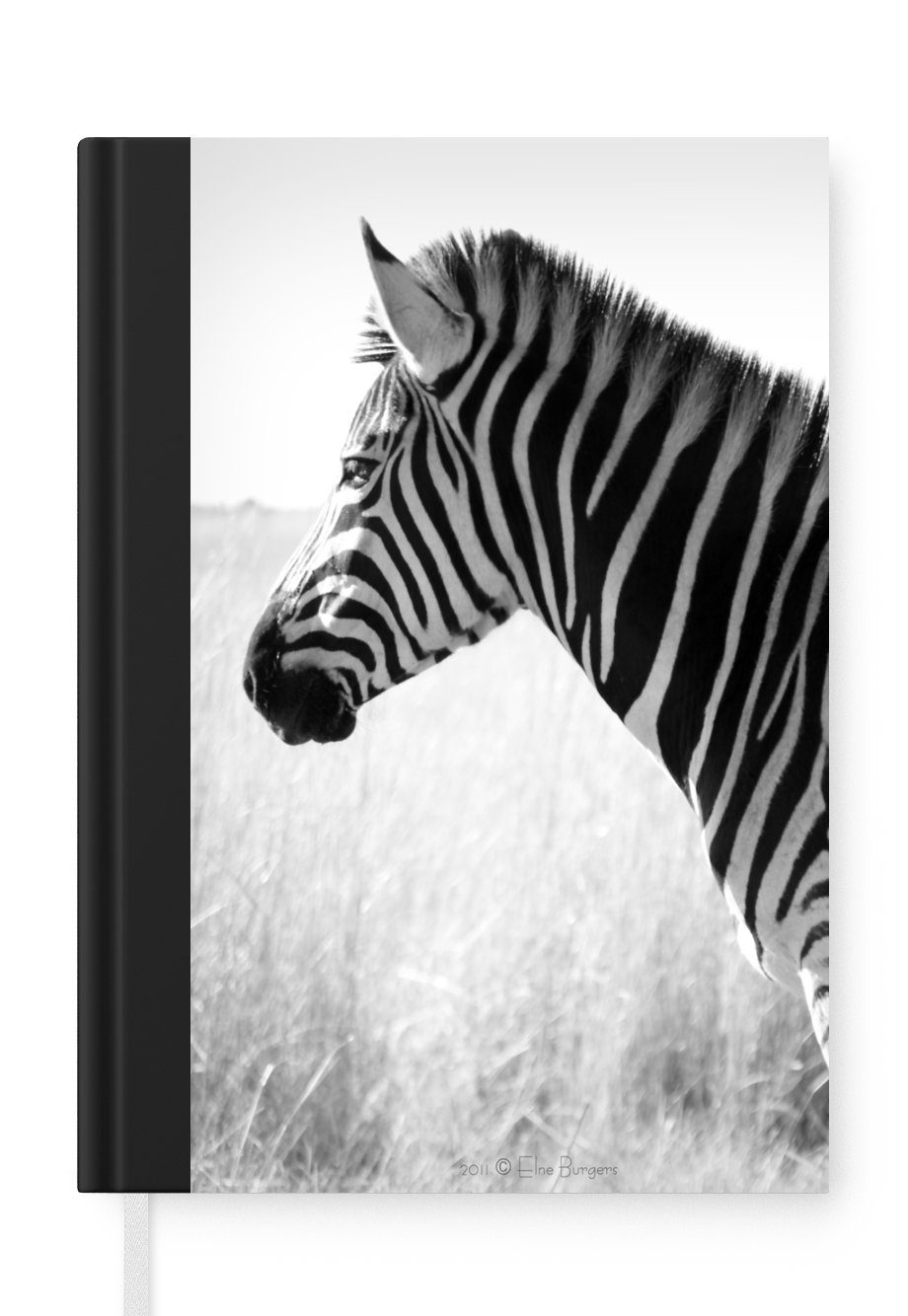 MuchoWow Notizbuch Zebra im hohen Gras, Journal, Merkzettel, Tagebuch, Notizheft, A5, 98 Seiten, Haushaltsbuch | Notizbücher