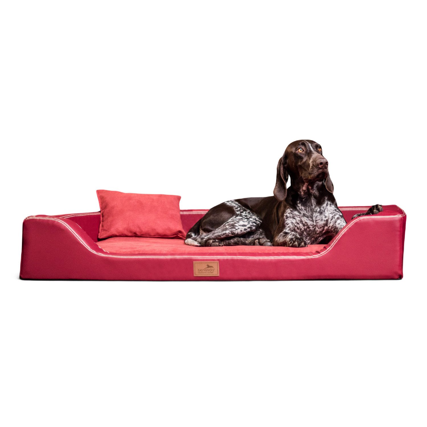 tierlando® Tierbett Orthopädisches LUXUS-Hundebett MELODY LATEX günstig online kaufen