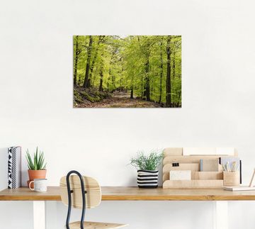 Artland Wandbild Die Buchen im Frühling, Wald (1 St), als Alubild, Outdoorbild, Leinwandbild, Poster, Wandaufkleber