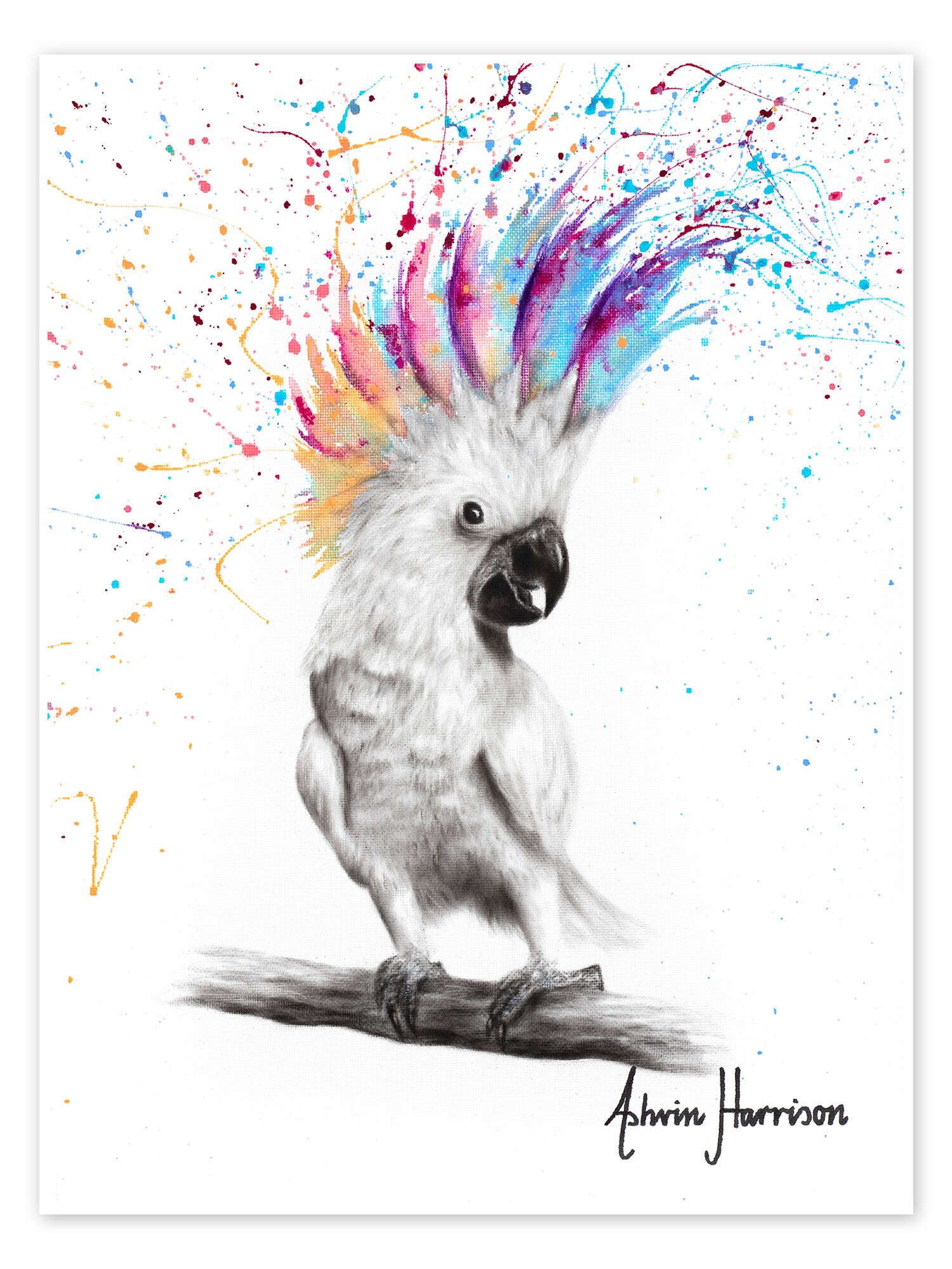 Poster Ashvin Harrison