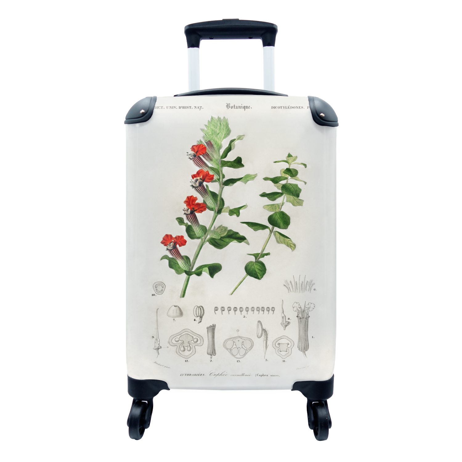 MuchoWow Handgepäckkoffer Reisetasche 4 - Jahrgang Botanica, Trolley, mit Pflanze - Rollen, rollen, Ferien, für Handgepäck Reisekoffer