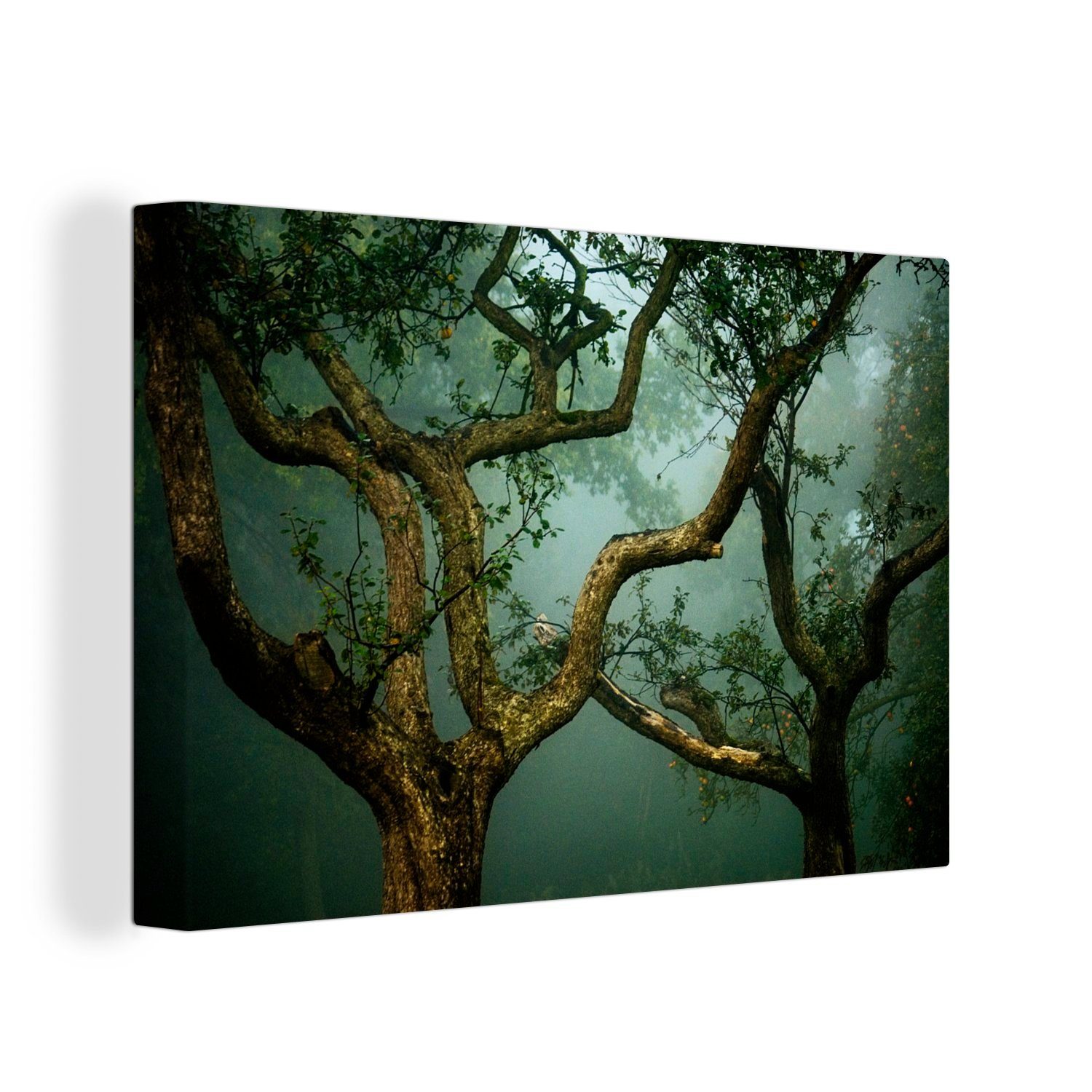 OneMillionCanvasses® Leinwandbild Apfelbaum - Wald - Nebel, (1 St), Wandbild Leinwandbilder, Aufhängefertig, Wanddeko, 30x20 cm