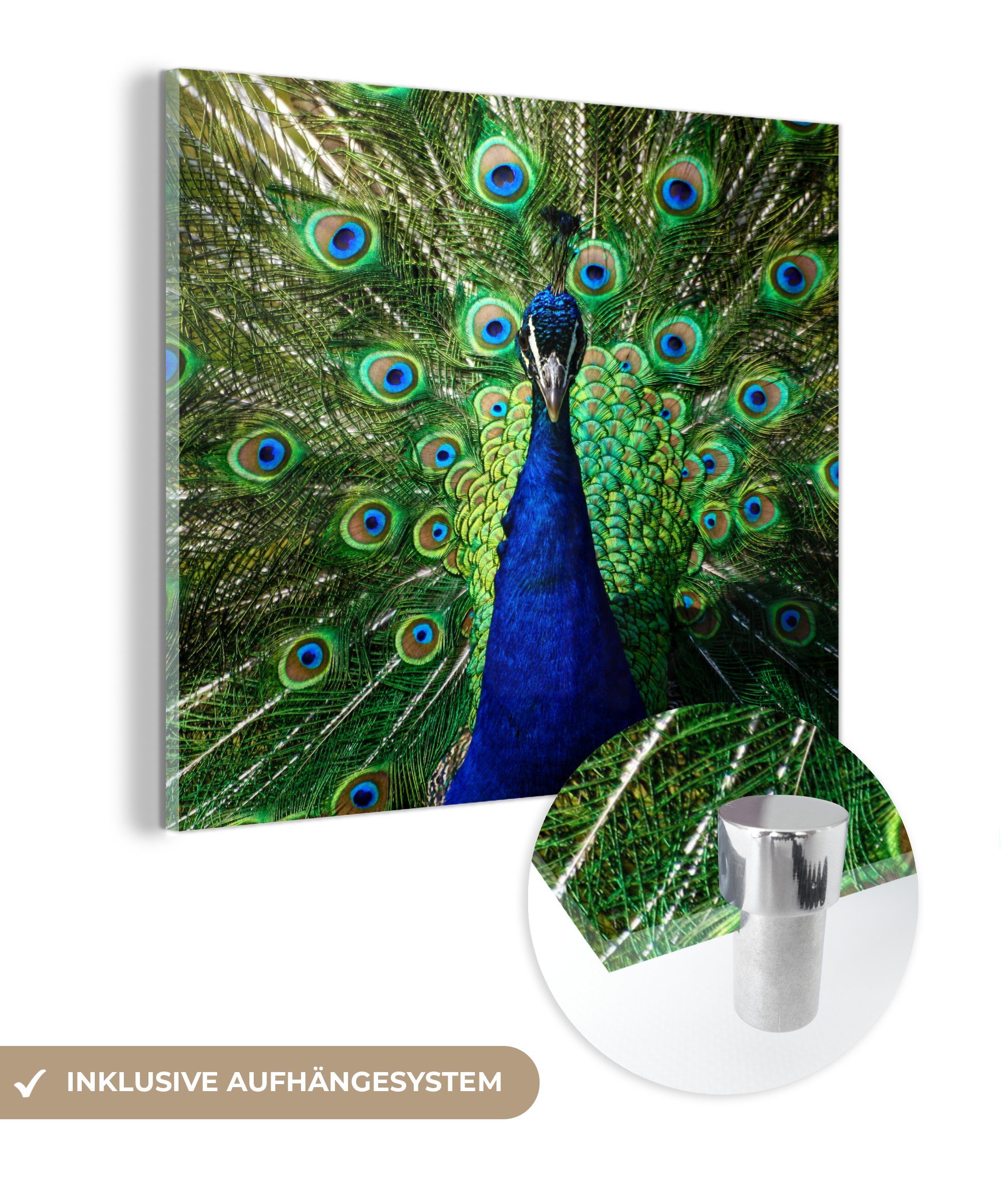 Pfau Bilder MuchoWow Acrylglasbild Glas Wandbild - Augen, auf Foto Glasbilder St), Wanddekoration - - (1 Glas - Federn auf -