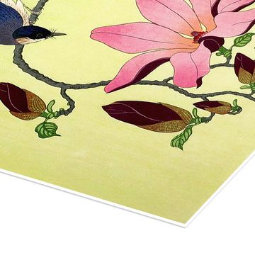 Posterlounge Poster Ohara Koson, Vogel mit rosa und weißen Magnolienblüten, Malerei