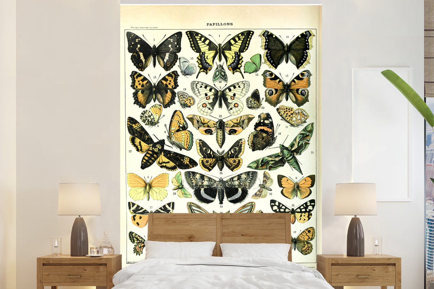 MuchoWow Fototapete Schmetterling - Tiere - Insekten, Matt, bedruckt, (3 St), Montagefertig Vinyl Tapete für Wohnzimmer, Wandtapete