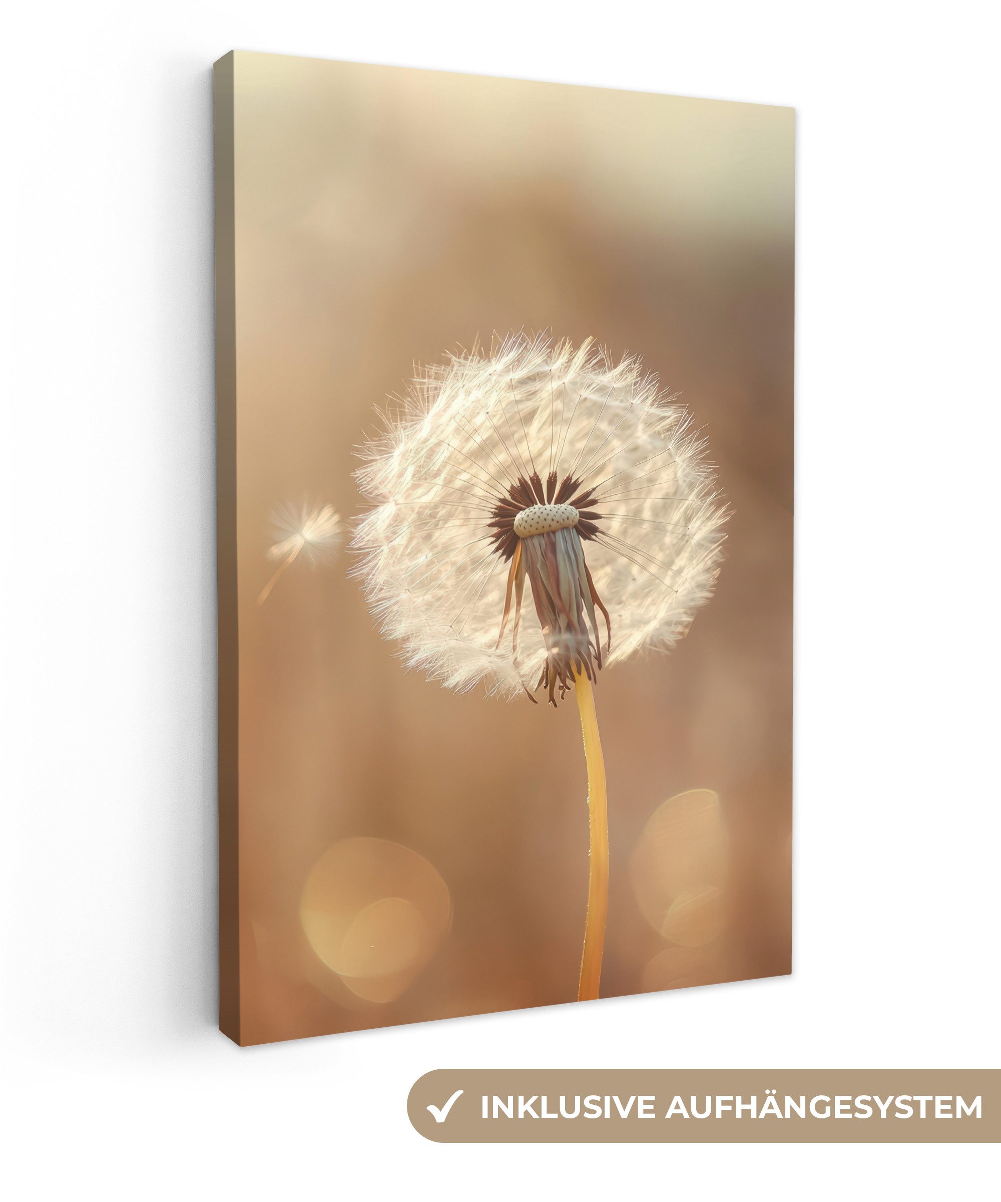 OneMillionCanvasses® Leinwandbild Löwenzahn - Beige - Natur - Blume, Fotodr günstig online kaufen