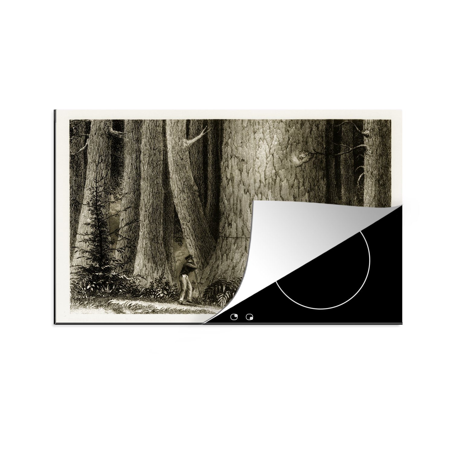 Vermessung küche, Mammutbaums tlg), der durch Induktionskochfeld Ceranfeldabdeckung die eines Vinyl, MuchoWow Schutz Herdblende-/Abdeckplatte cm, Holzfäller, 81x52 (1 für Illustration