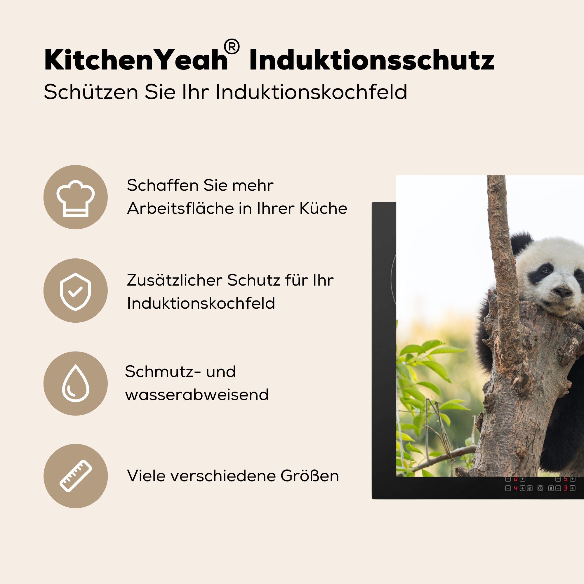 MuchoWow Herdblende-/Abdeckplatte Panda - küche, Schutz - Baum cm, für Vinyl, 81x52 (1 Induktionskochfeld die Ceranfeldabdeckung Licht, tlg)