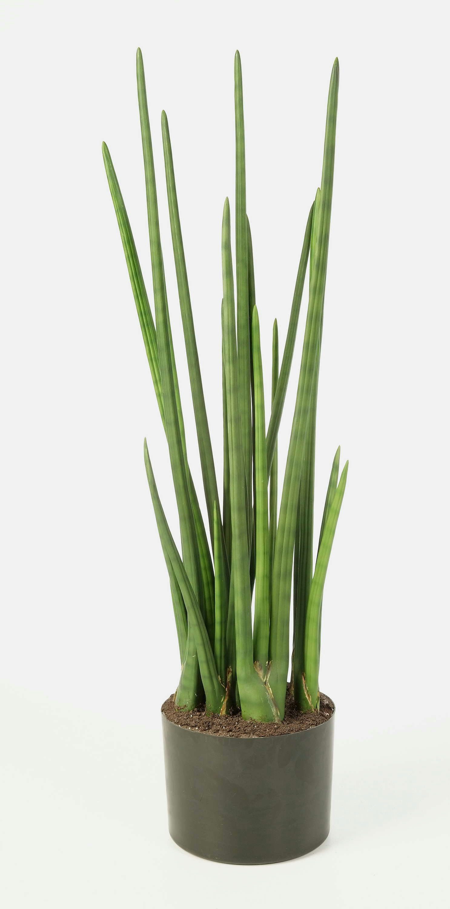 Kunstpflanze Künstliche Sansevieria Mikado - Bogenhanf Pflanze, grün, 100cm Bogenhanf (Sansevieria cylindrica), artplants, Höhe 100.0 cm