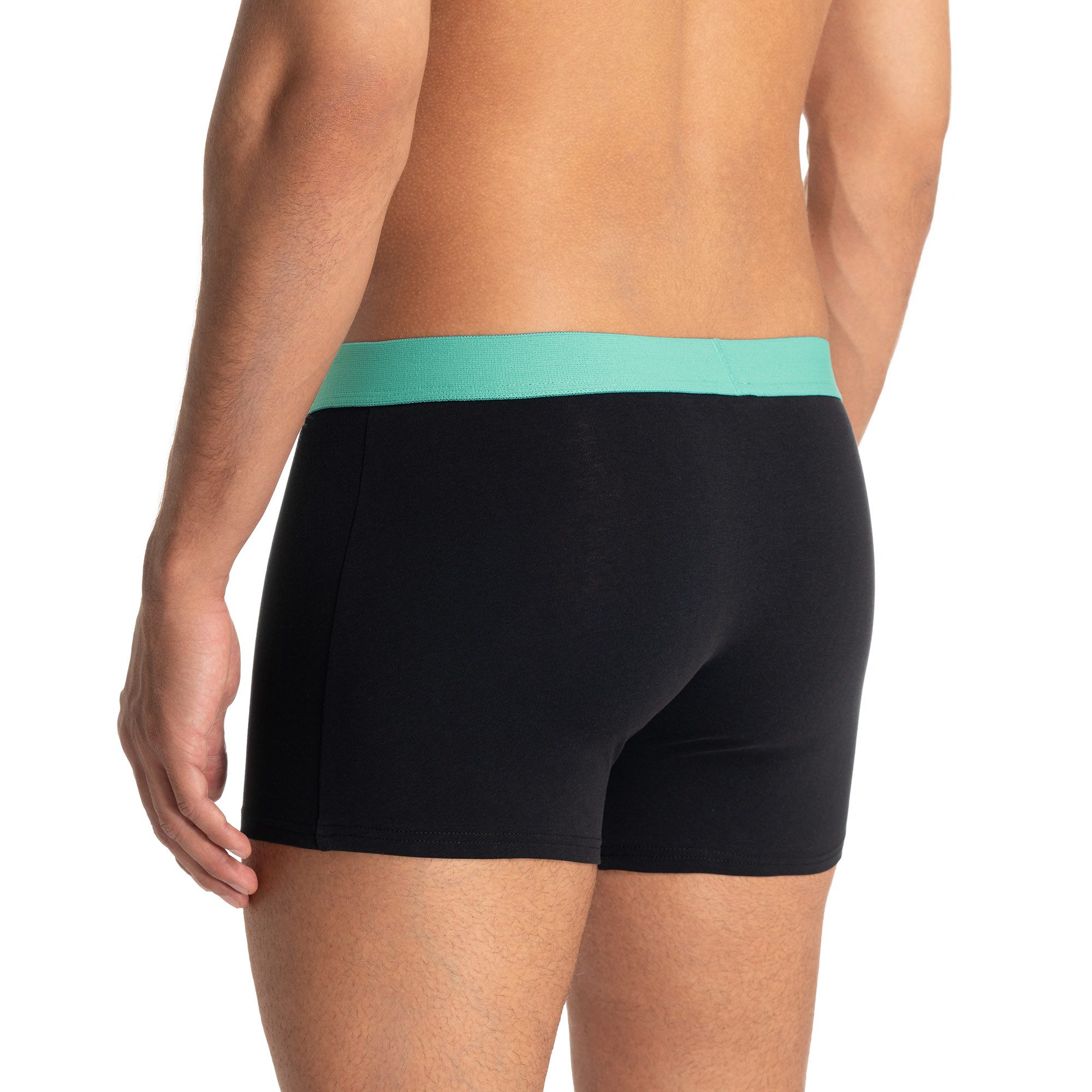 Bruno Banani Boxer Flowing (2er Pack) mit kontrastreichem Logobund – Bild 4 von 5