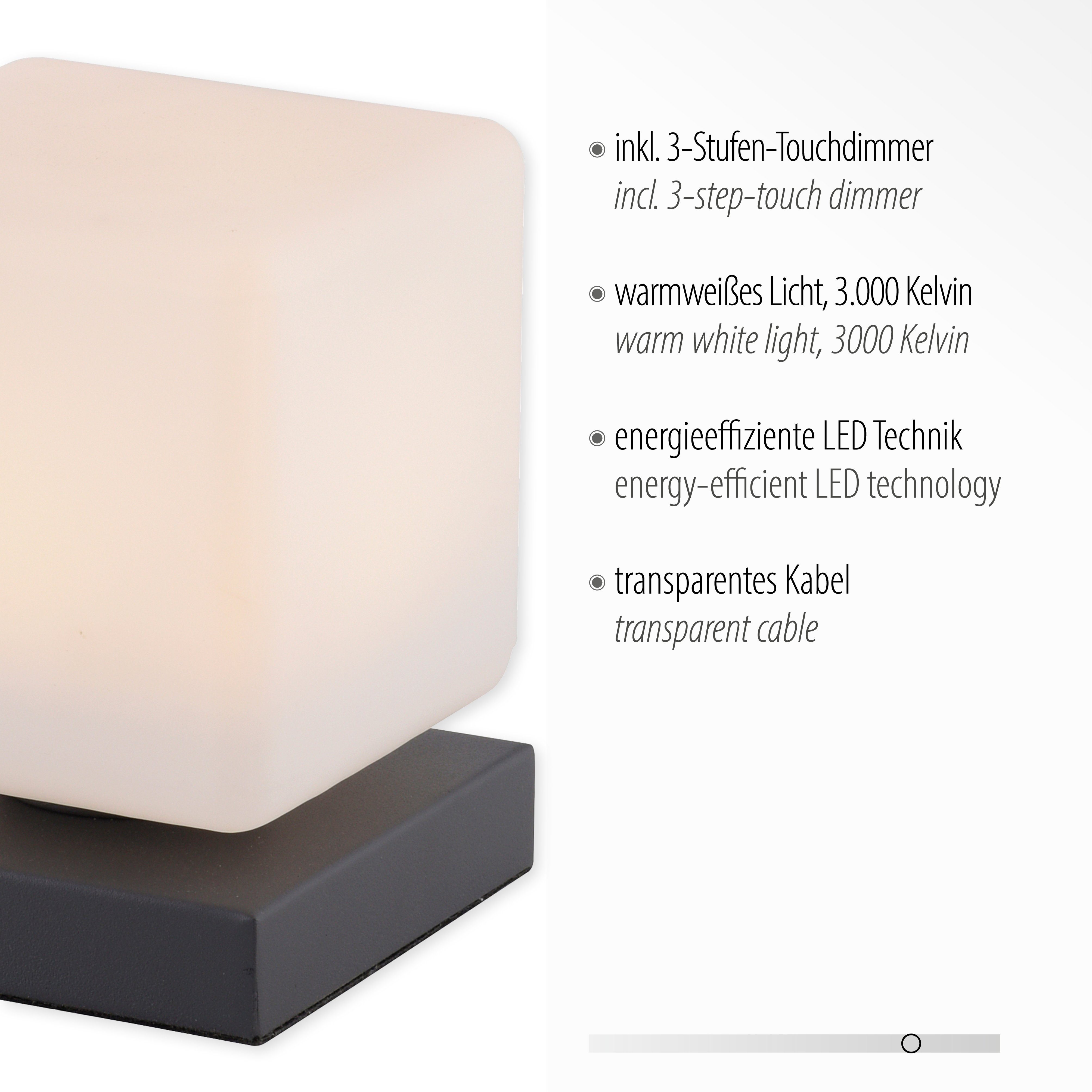Paul Neuhaus Tischleuchte DADOA, Warmweiß, LED integriert, Touchdimmer LED, über fest dimmbar