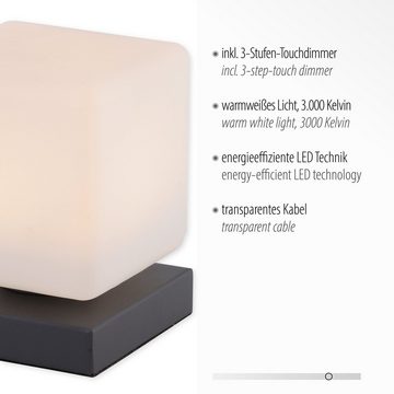 Paul Neuhaus Tischleuchte DADOA, LED fest integriert, Warmweiß, LED, dimmbar über Touchdimmer