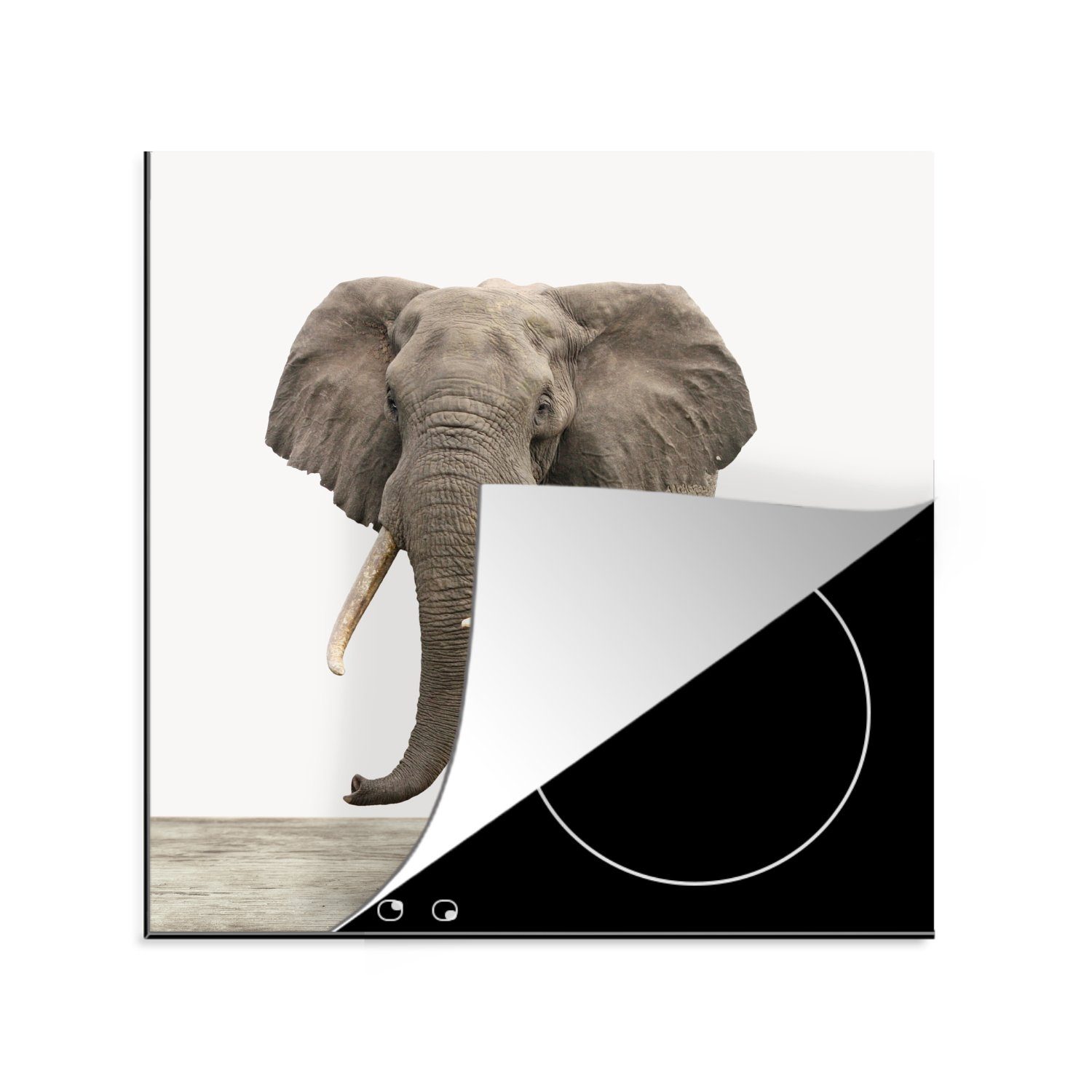 Ceranfeldabdeckung, küche Arbeitsplatte 78x78 Herdblende-/Abdeckplatte tlg), - Grau, - (1 MuchoWow Elefant für Tiere cm, Vinyl,
