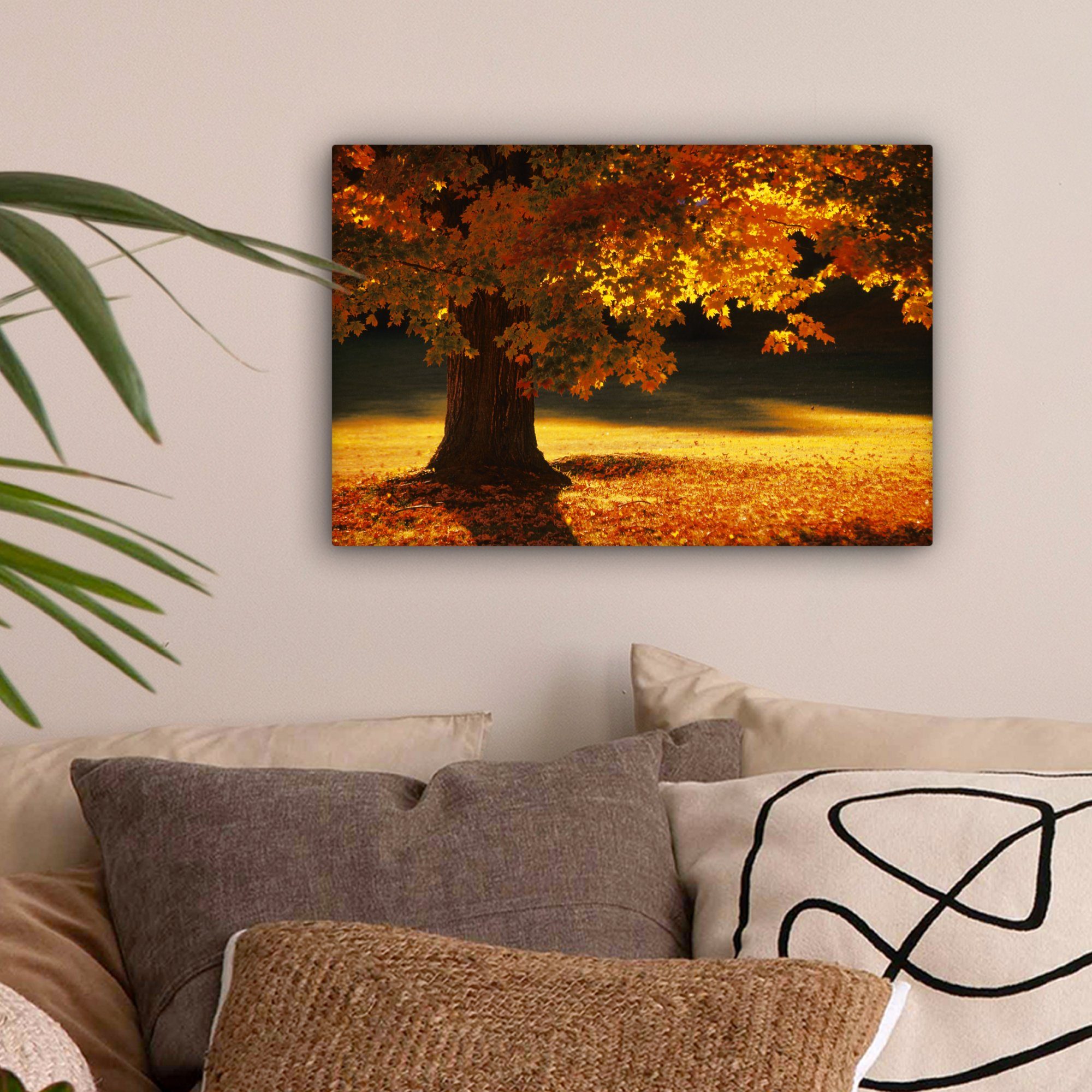 OneMillionCanvasses® Leinwandbild Ein Ahornbaum im St), Leinwandbilder, Aufhängefertig, Wandbild Herbst, 30x20 cm Wanddeko, (1