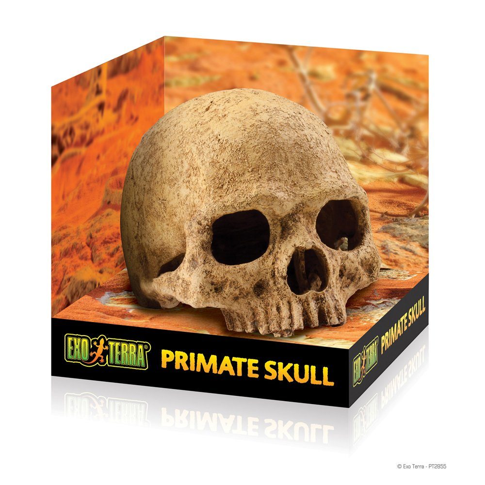 Exo Terra Terrariendeko Versteck Primate Skull
