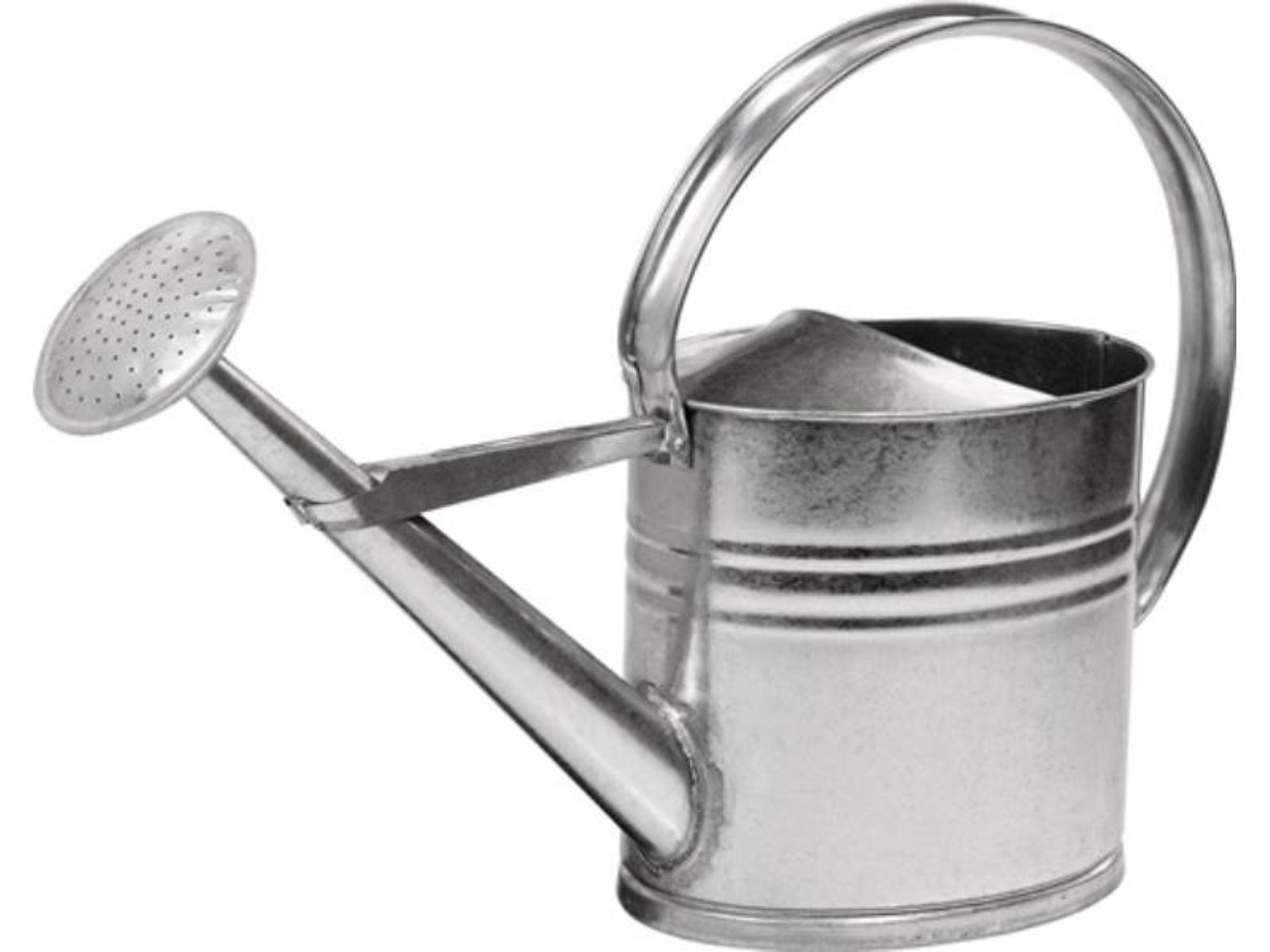 Gießkanne Gießkanne 02OW10L 10 l silber Metall verzinkt