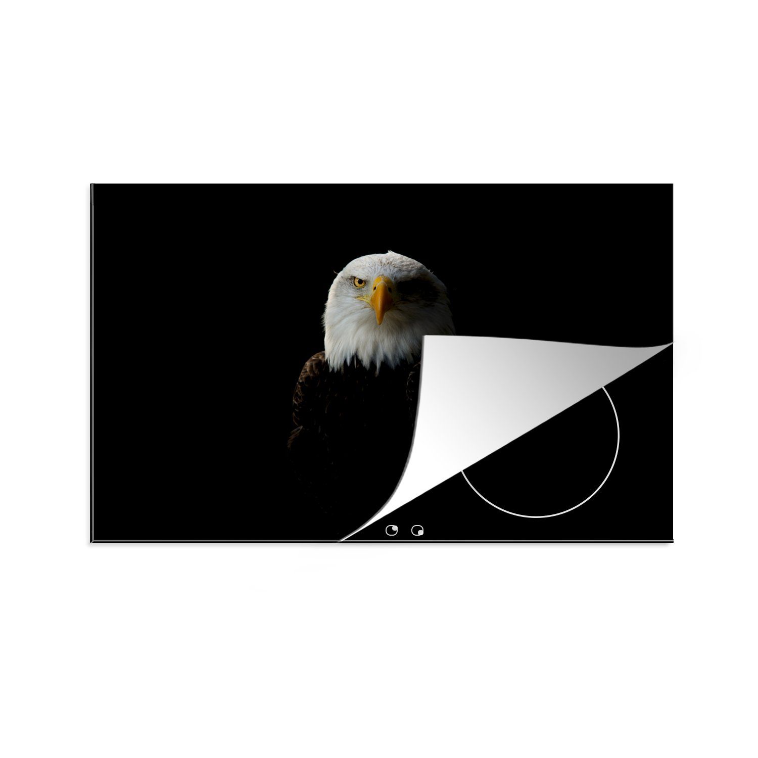 MuchoWow Herdblende-/Abdeckplatte Ein Porträt eines Weißkopfseeadlers, Vinyl, (1 tlg), 81x52 cm, Induktionskochfeld Schutz für die küche, Ceranfeldabdeckung