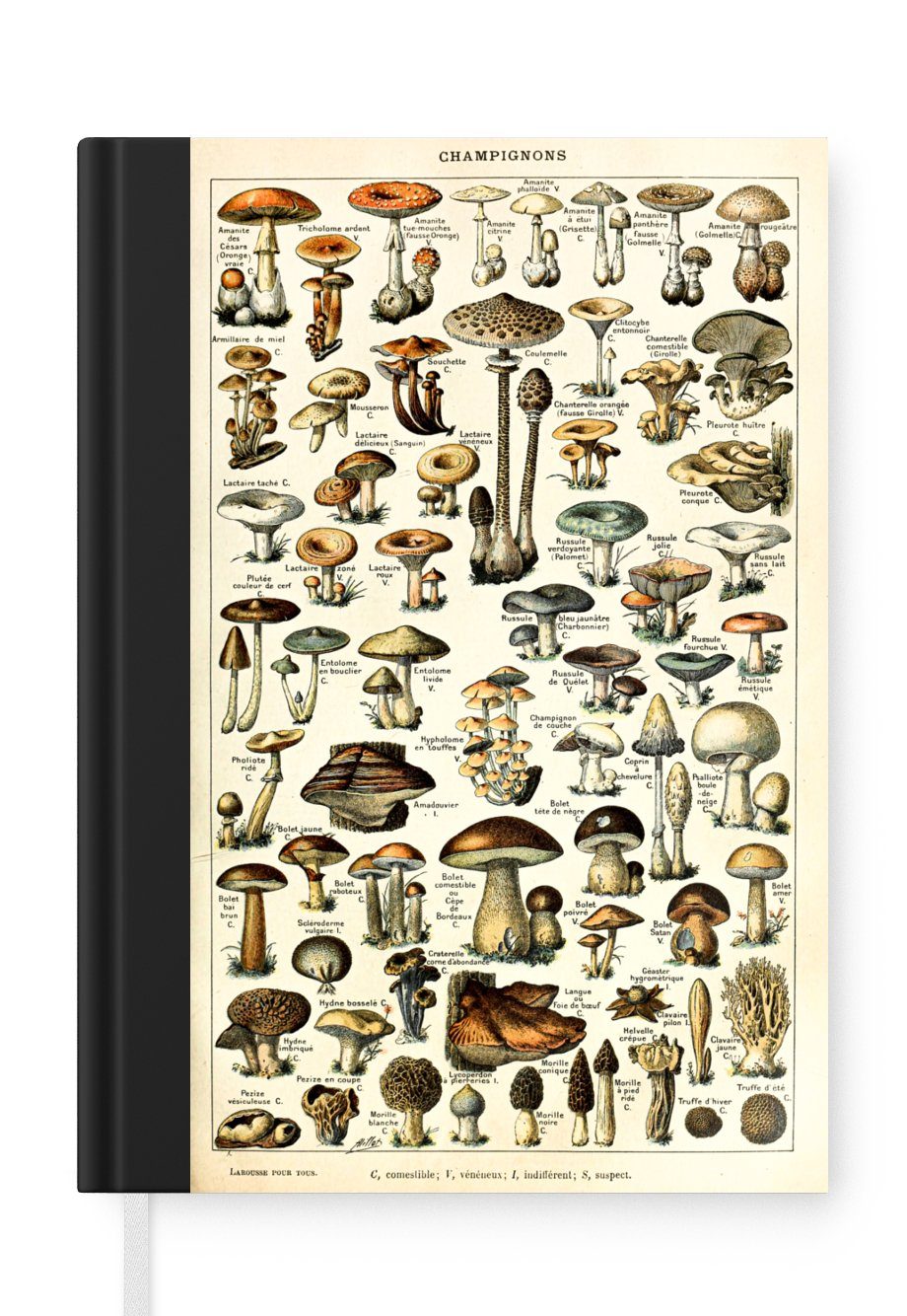 MuchoWow Notizbuch Pilz - Herbst - Jahreszeiten - Vintage - Adolphe Millot - Natur, Journal, Merkzettel, Tagebuch, Notizheft, A5, 98 Seiten, Haushaltsbuch