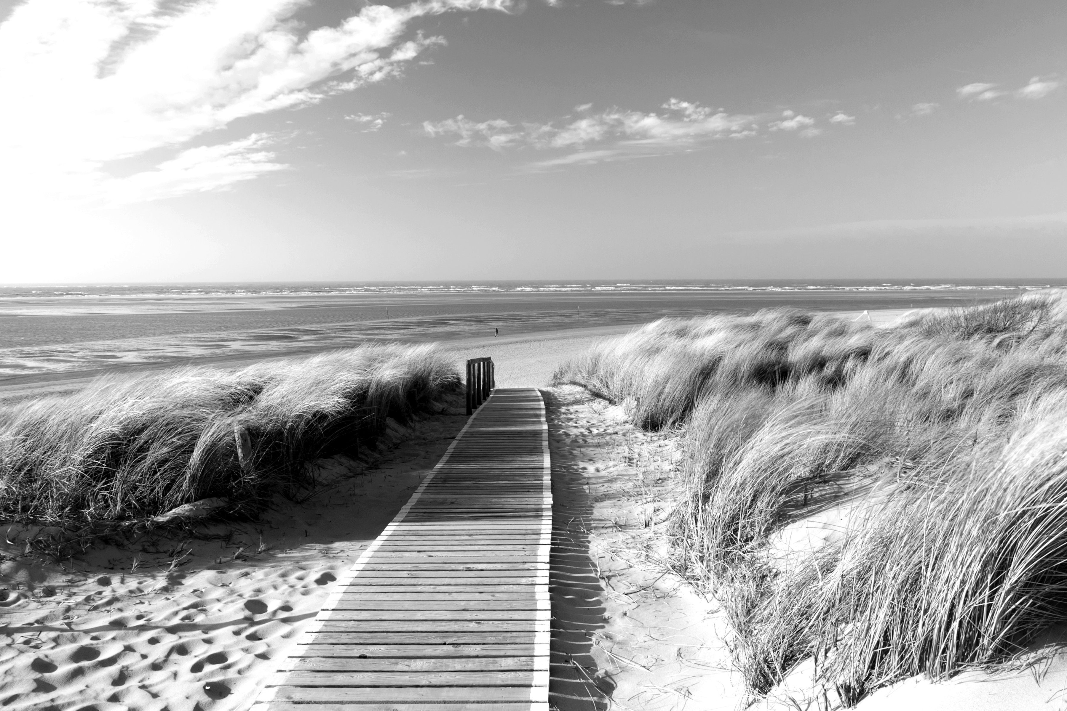Weiß Strand Papermoon & Schwarz Fototapete