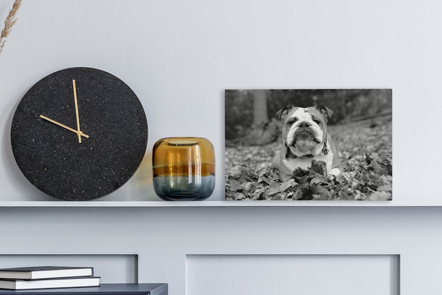 30x20 cm im liegend Englische Wandbild Bulldogge Aufhängefertig, - Wanddeko, Leinwandbilder, Laub weiß, St), Leinwandbild schwarz und (1 OneMillionCanvasses®
