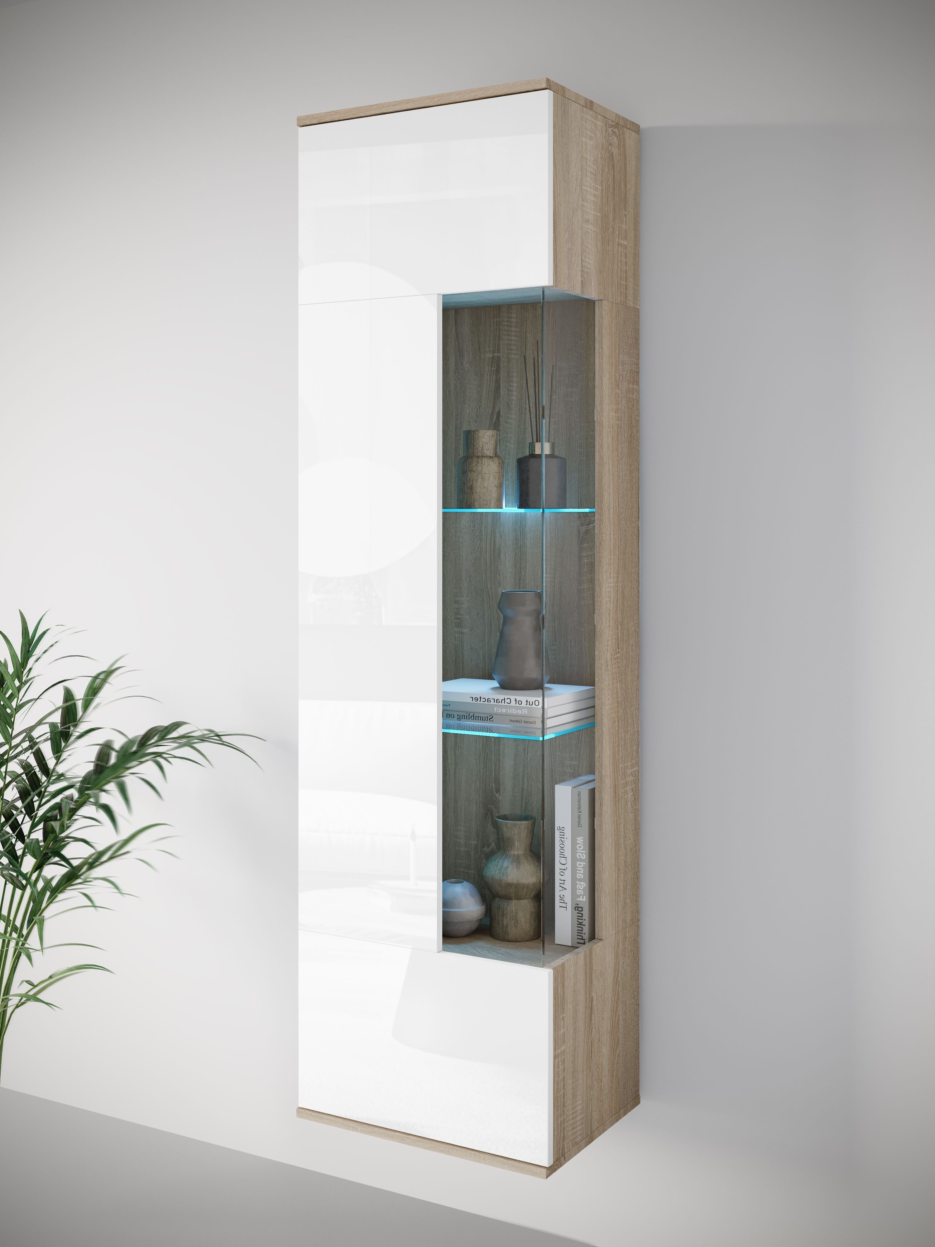 INOSIGN Vitrine Kenia, stehend und hängend, günstig online kaufen