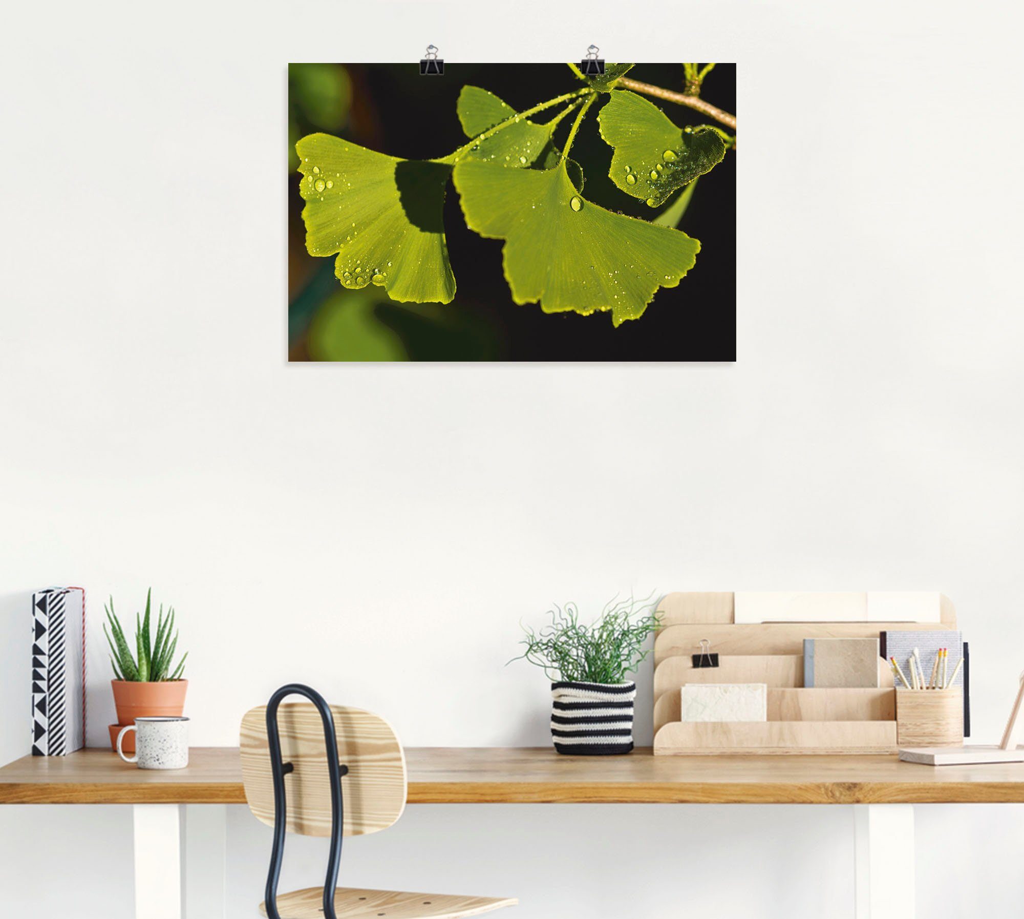 (1 oder Leinwandbild, Wandaufkleber Größen versch. St), als Alubild, in Blätter, Poster Artland Ginkgo Blätter Wandbild