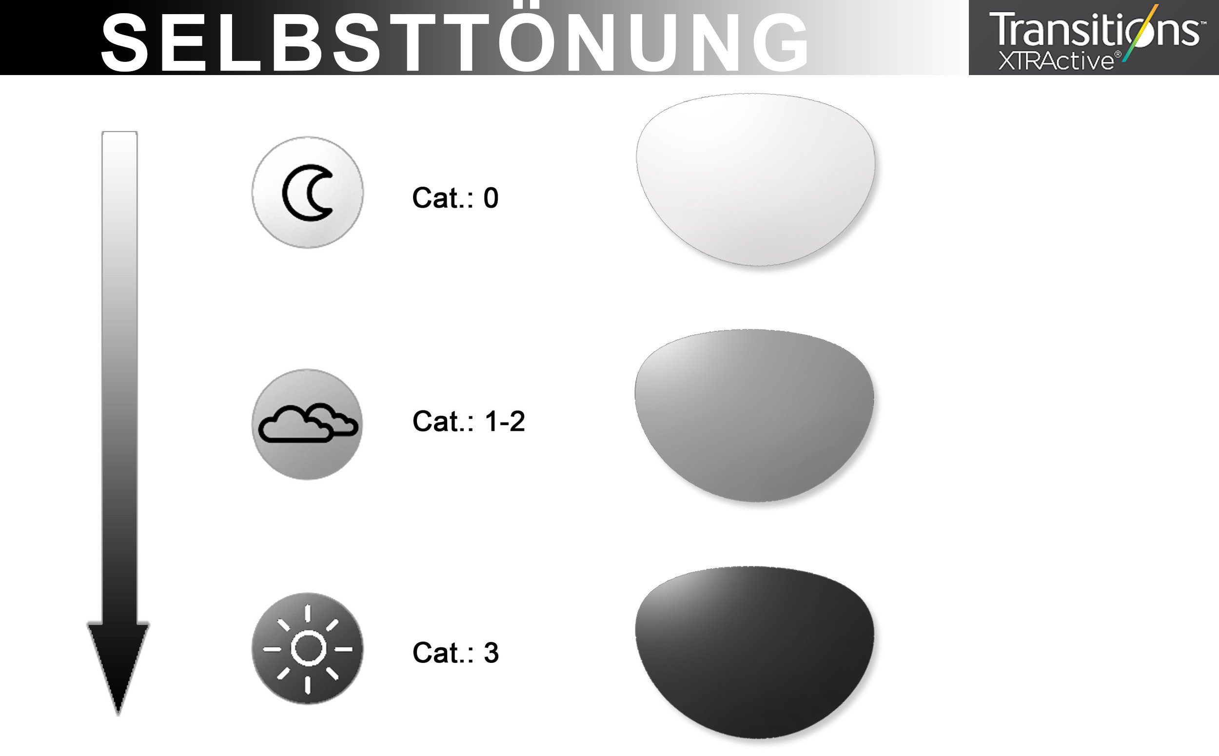 HARLEY-DAVIDSON Sonnenbrille HD1016-54032 selbsttönende HLT® Qualitätsgläse günstig online kaufen