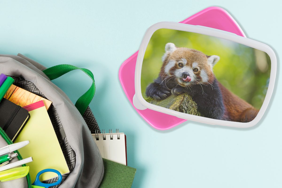 Natur Erwachsene, Lunchbox (2-tlg), rosa Brotdose Kunststoff Roter Mädchen, Brotbox für MuchoWow - Kinder, - Panda Snackbox, Kunststoff, Rüssel,