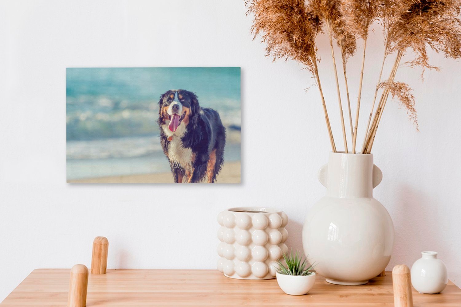 OneMillionCanvasses® Leinwandbild Ein Berner Wandbild cm Sennenhund am (1 Leinwandbilder, Strand, 30x20 St), Wanddeko, Aufhängefertig, beim Spaziergang