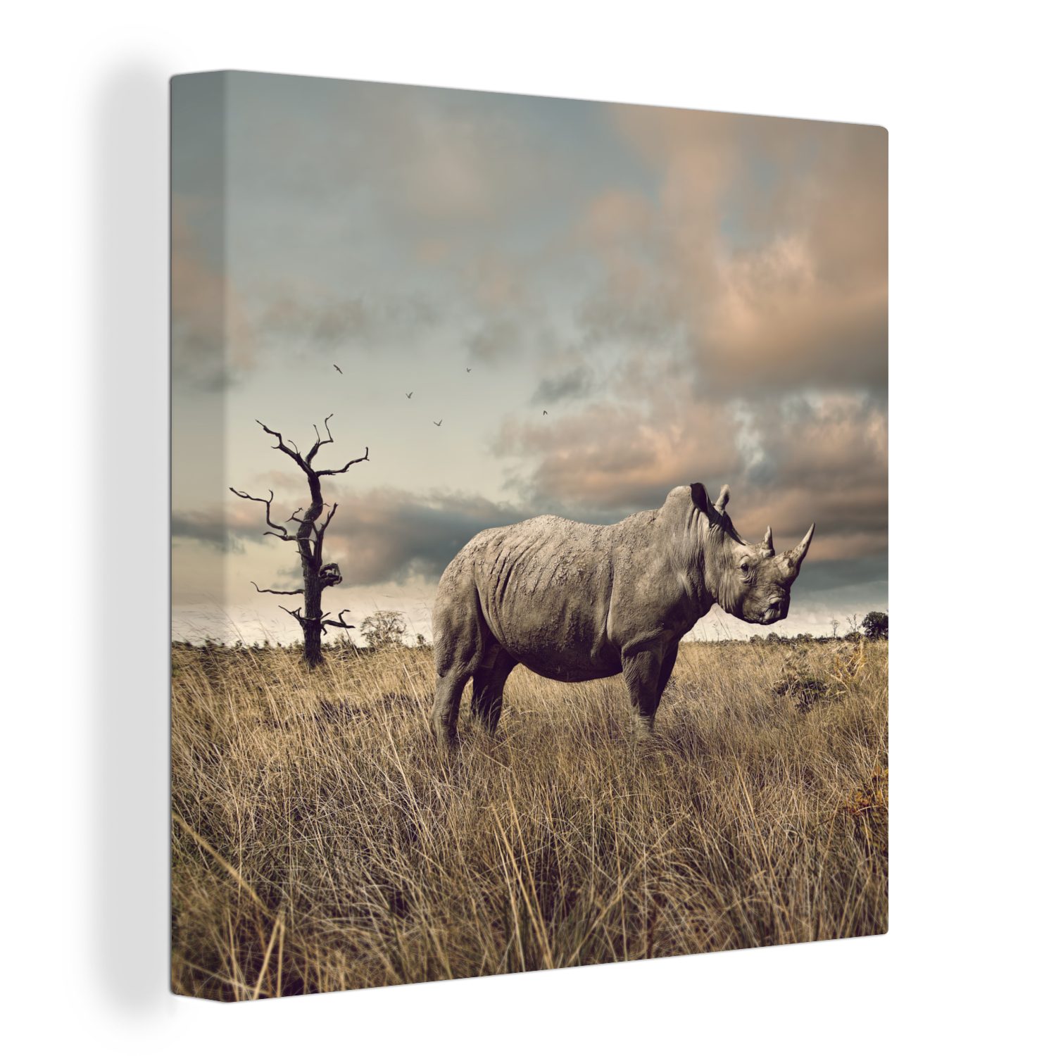 OneMillionCanvasses® Leinwandbild Nashörner - Zebras - Safari, (1 St), Leinwand Bilder für Wohnzimmer Schlafzimmer