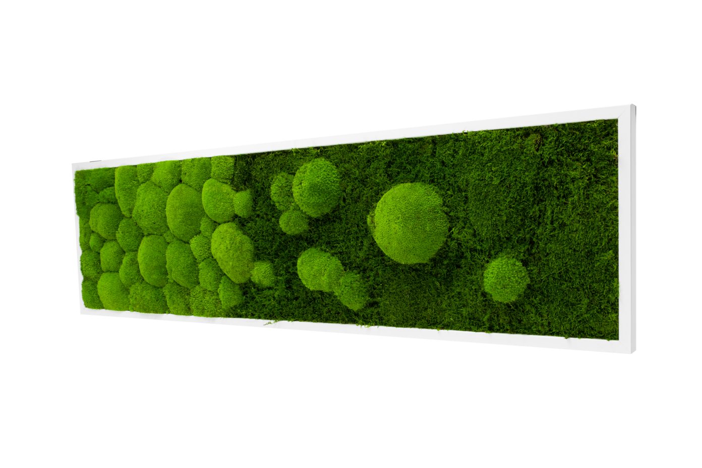 Moos-Design Bilderrahmen Moos Bild River Design günstig online kaufen