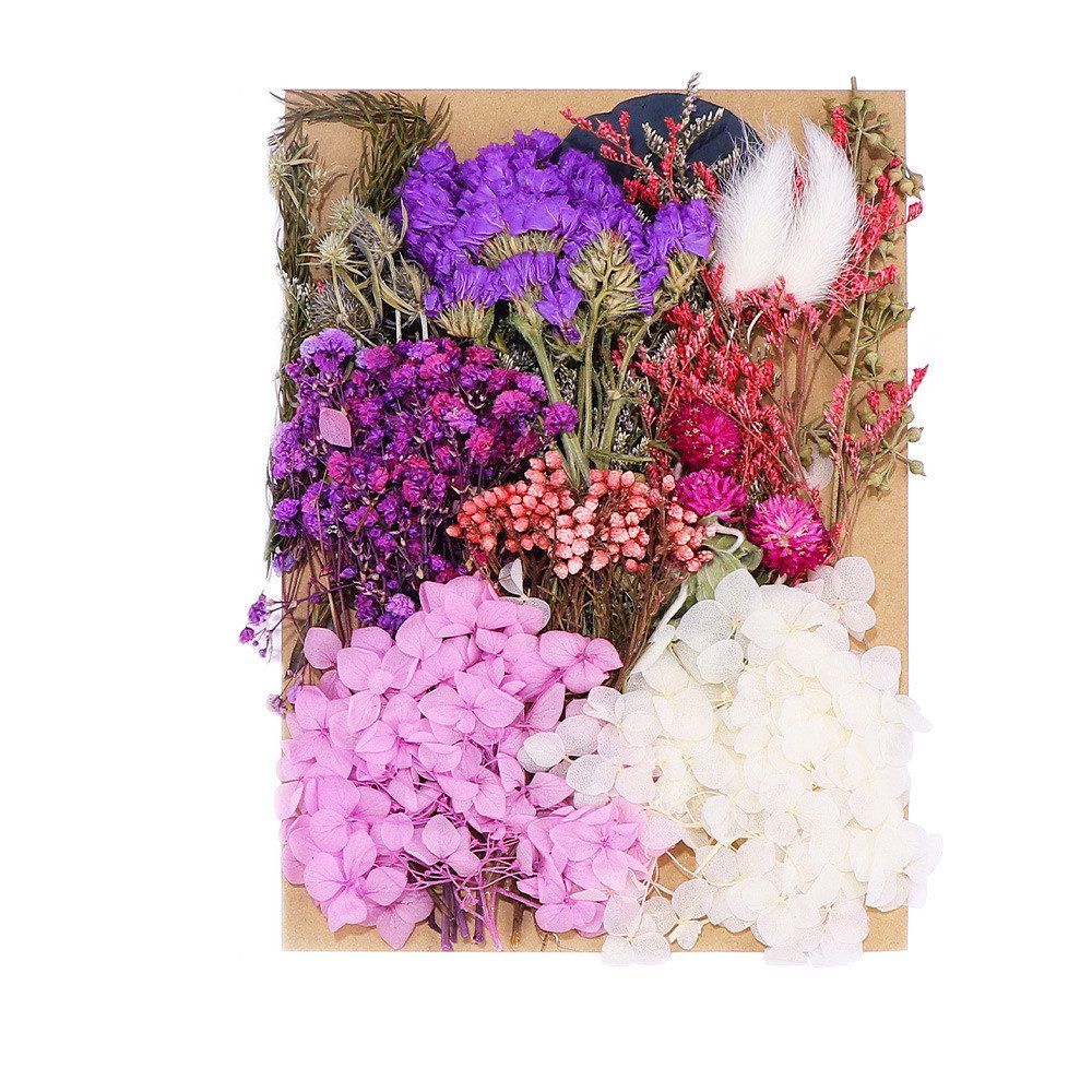 Trockenblume Natürliche Getrocknete Blumen,Trockenblumen zum Basteln, Caterize