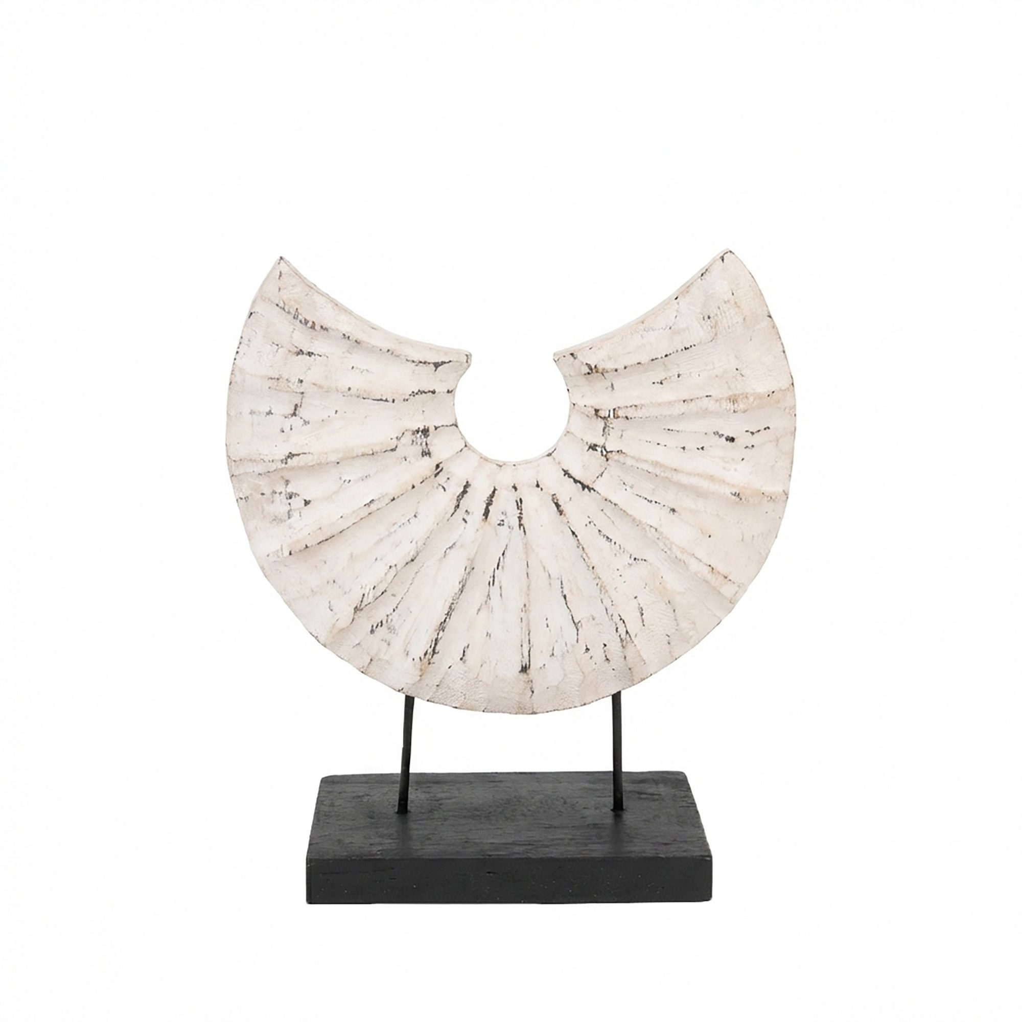 wohnfreuden Skulptur Deko-Skulptur aus Suarholz weiß in Muschelform