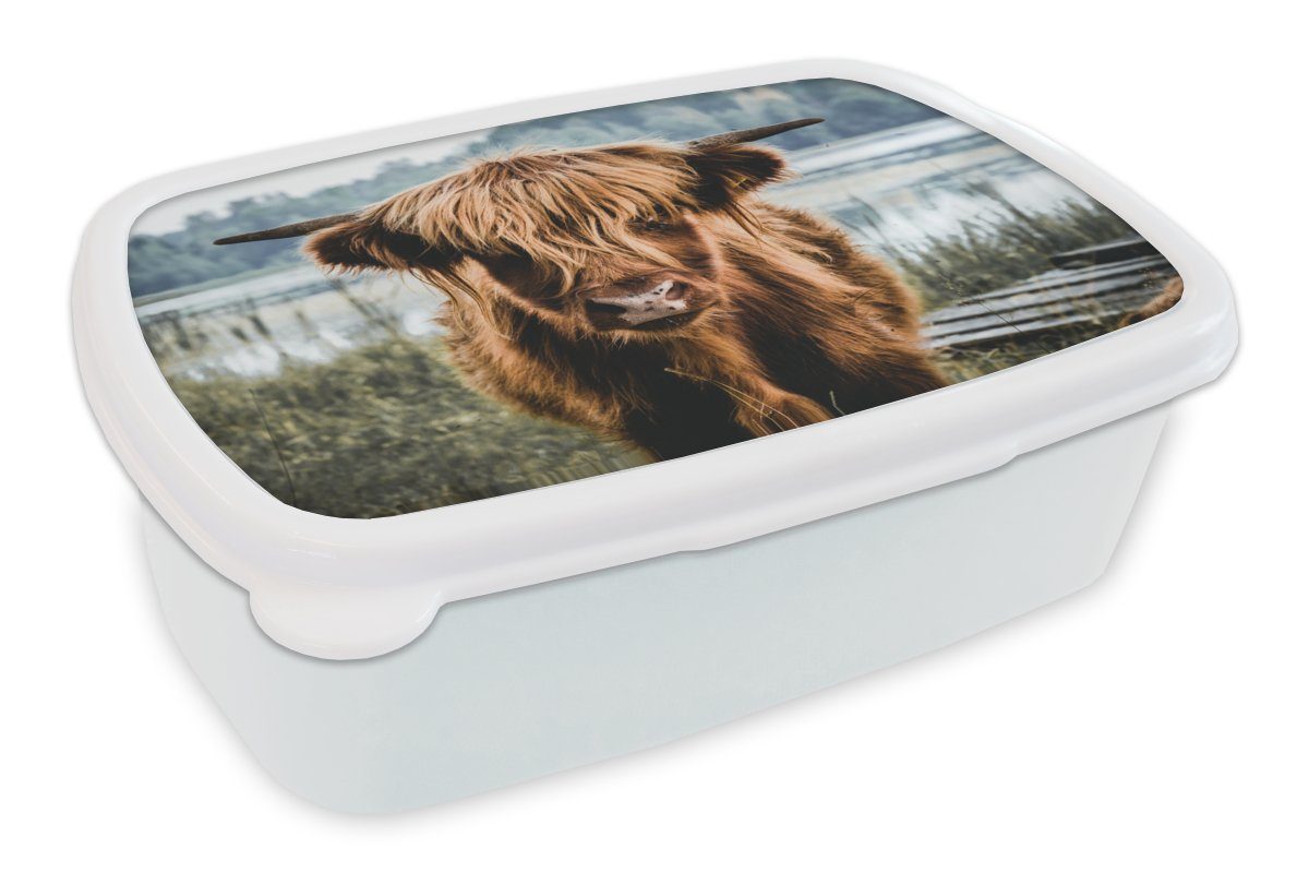 MuchoWow Lunchbox Kühe - Schottische Hochlandbewohner - Braun - Natur, Kunststoff, (2-tlg), Brotbox für Kinder und Erwachsene, Brotdose, für Jungs und Mädchen weiß