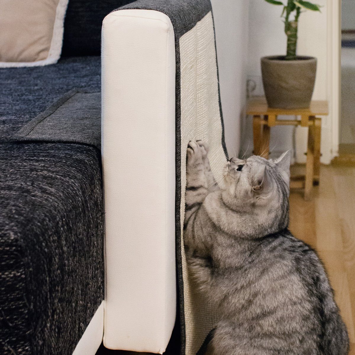 Navaris Kratzpappe Katzen Kratzmatte für Sofa, günstig online kaufen